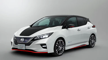 Nismo Leaf 1