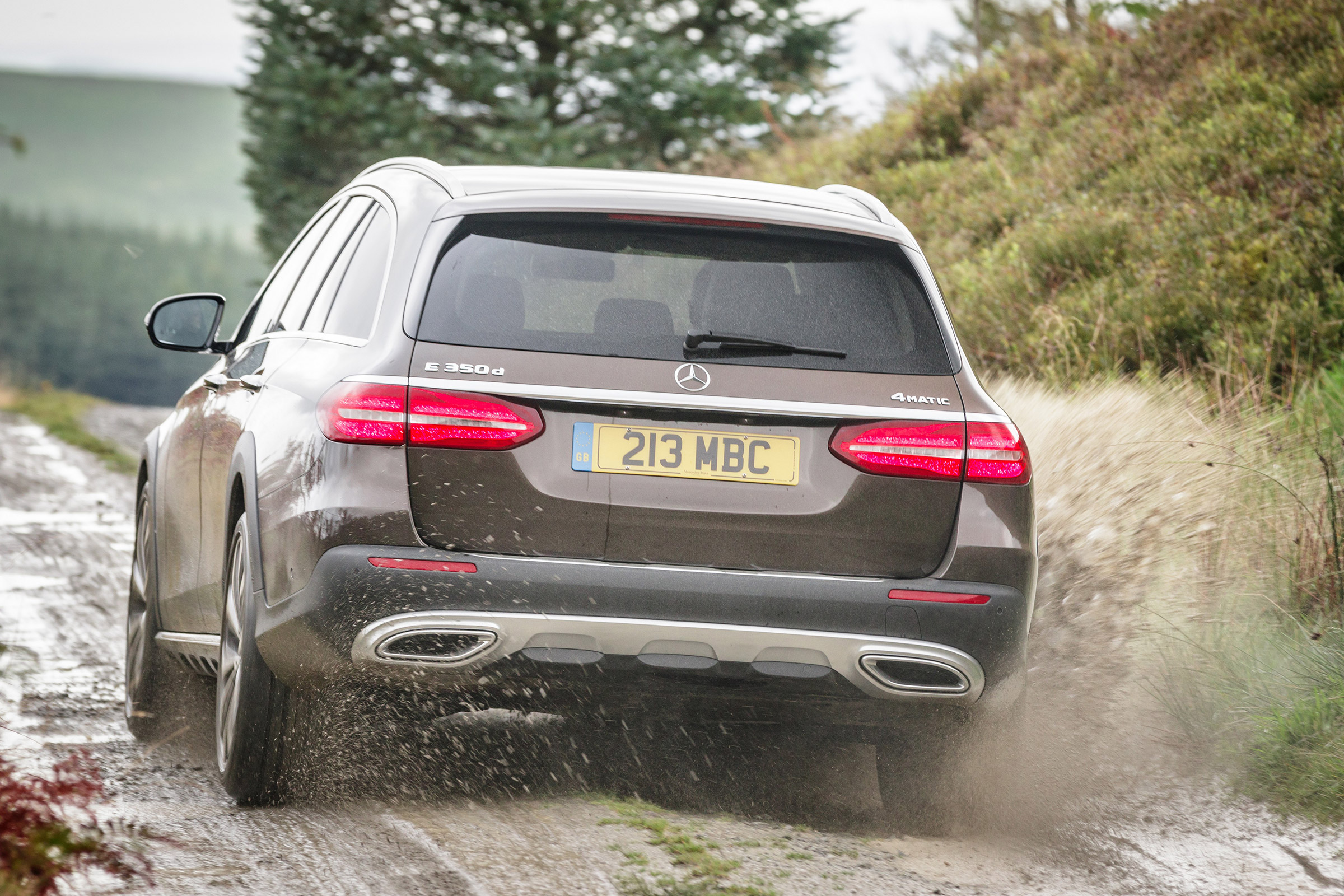 Mercedes E-Class All-Terrain - rear off-road