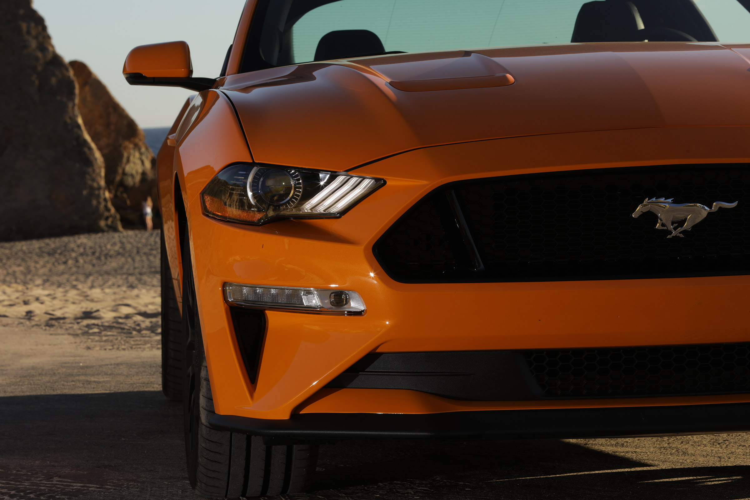 Ford Mustang - front detail