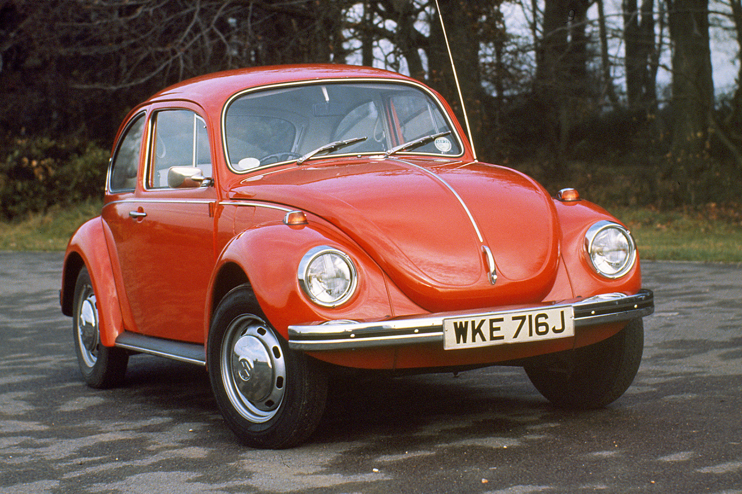 VW Beetle - front