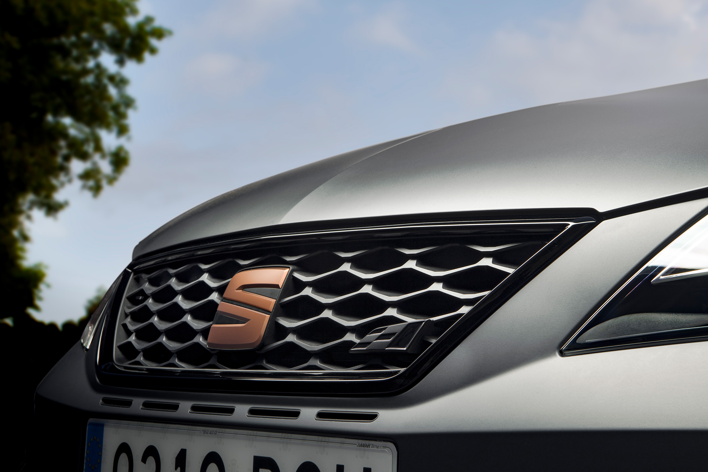 SEAT Leon Cupra R - grille