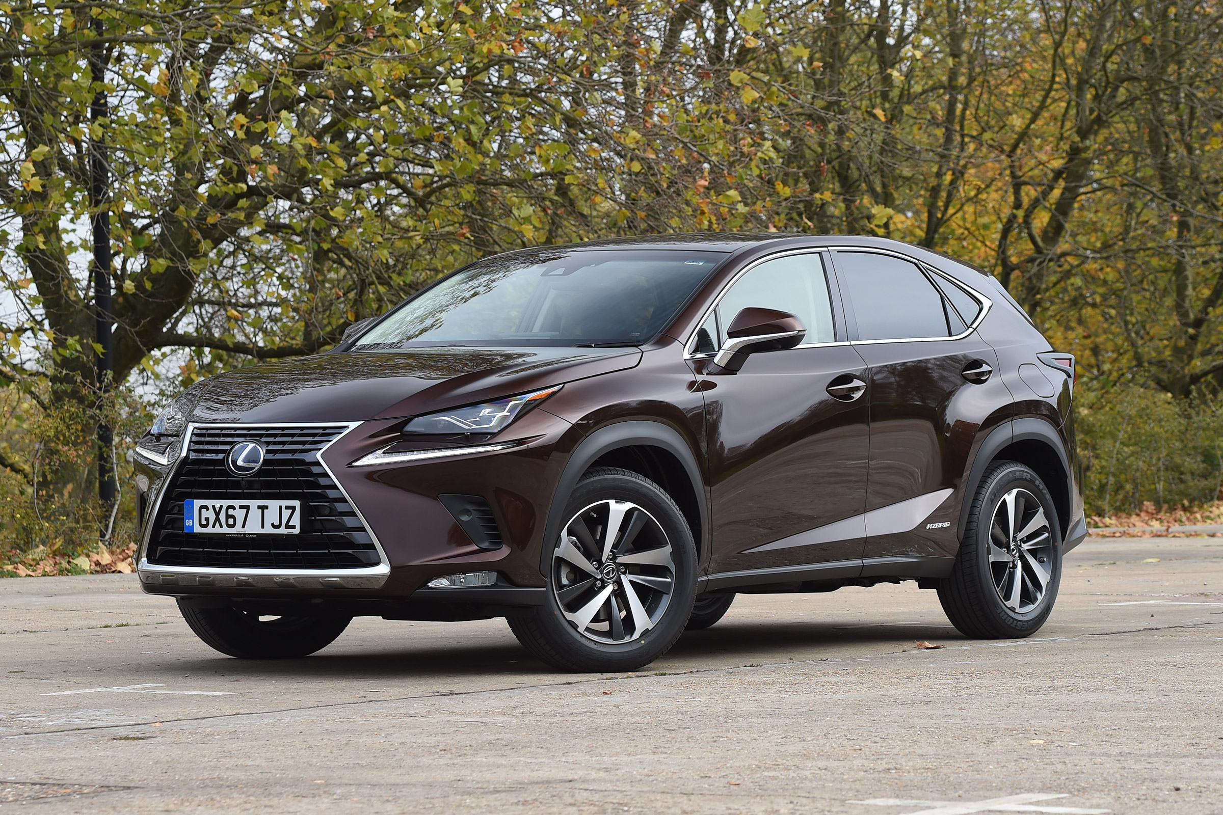 Lexus NX 300h - front static