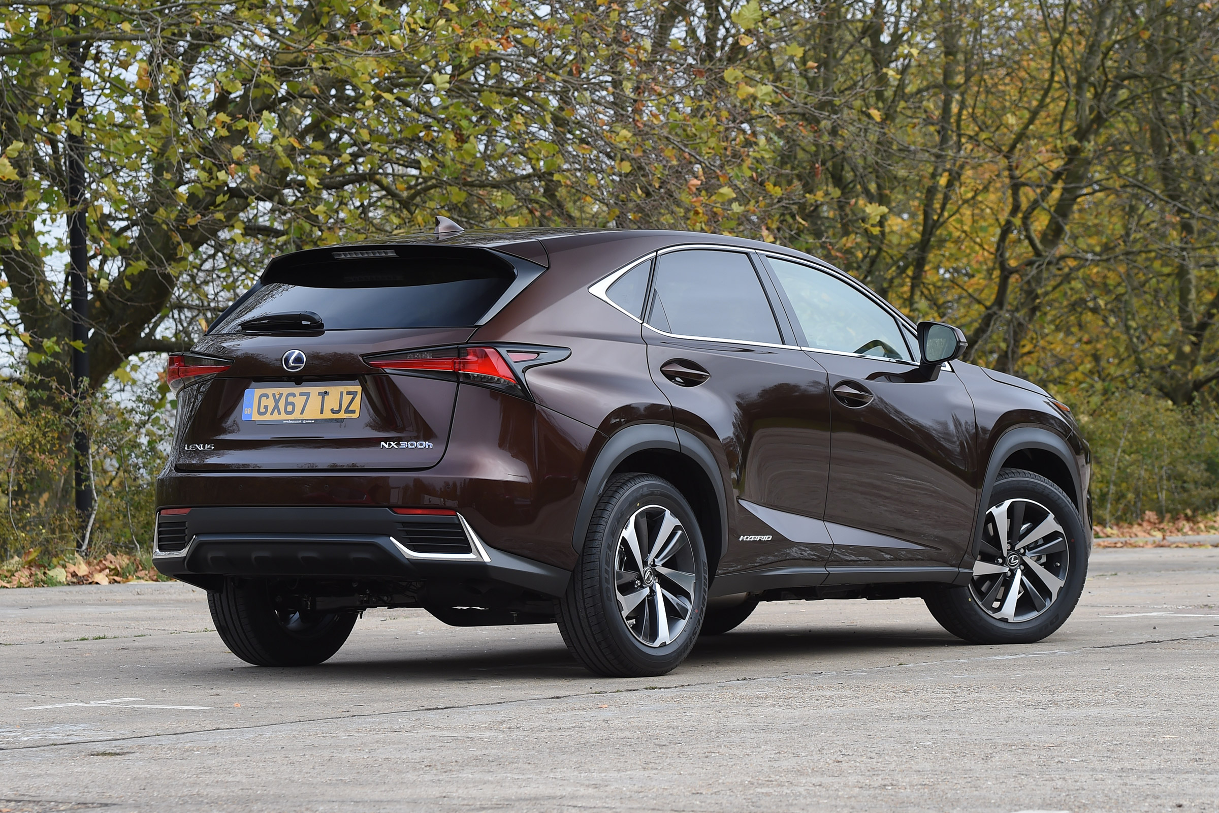 Lexus NX 300h - rear static