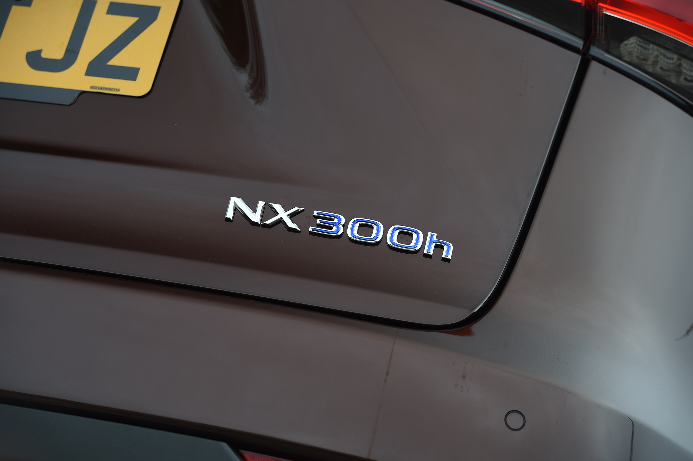 Lexus NX 300h - NX 300h badge