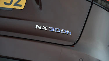 Lexus NX 300h - NX 300h badge