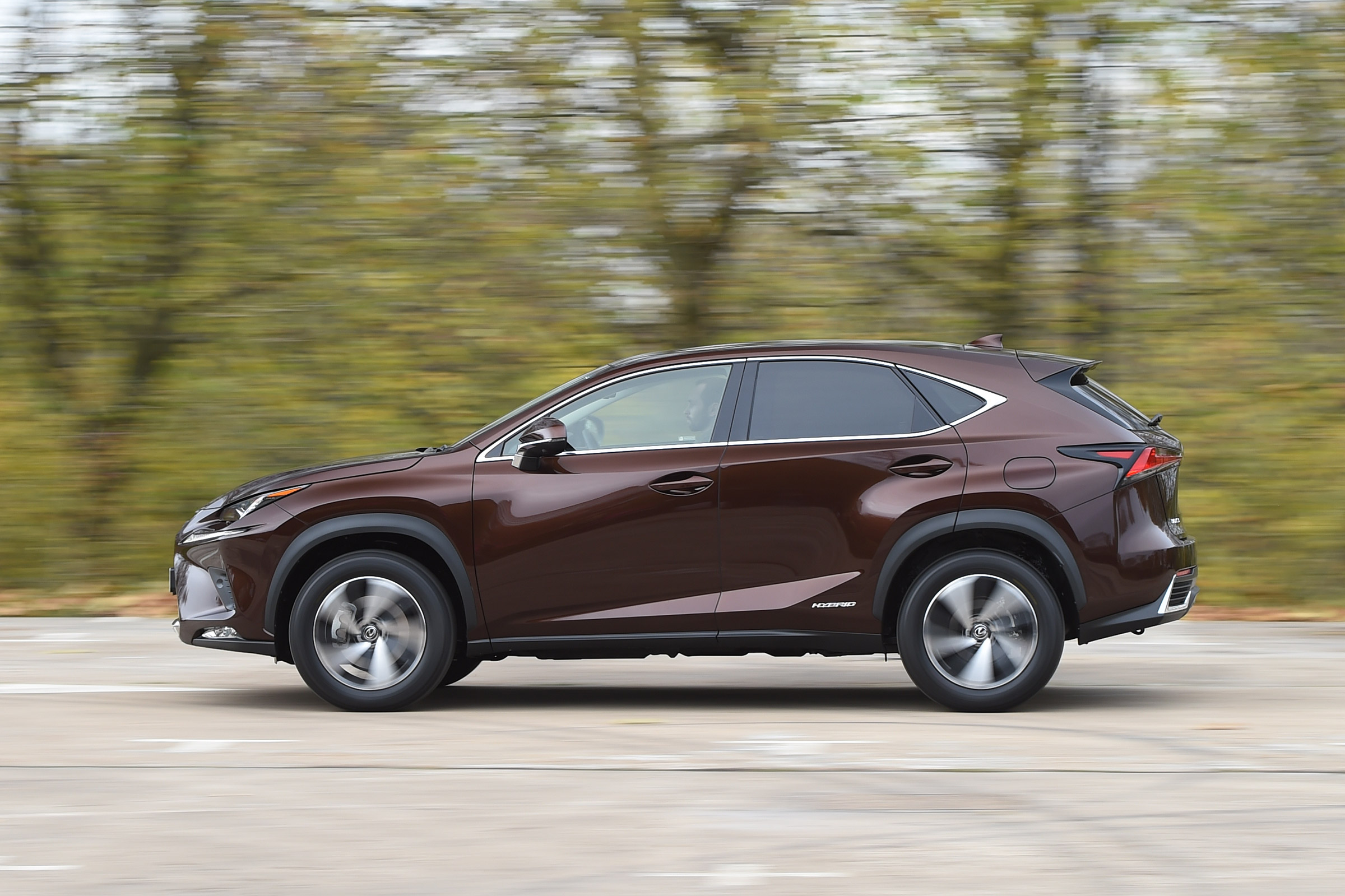 Lexus NX 300h - side