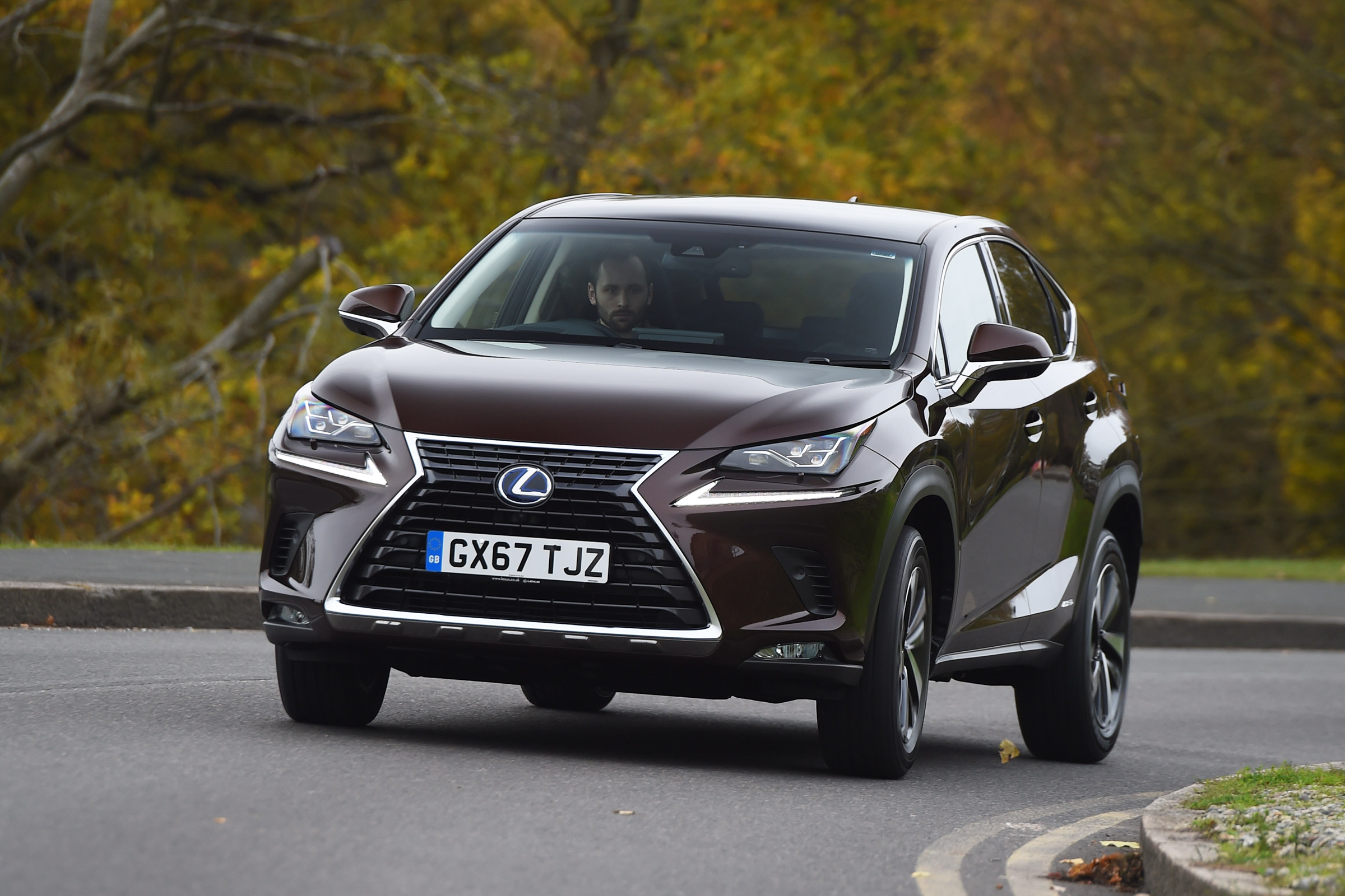 Lexus NX 300h - front cornering