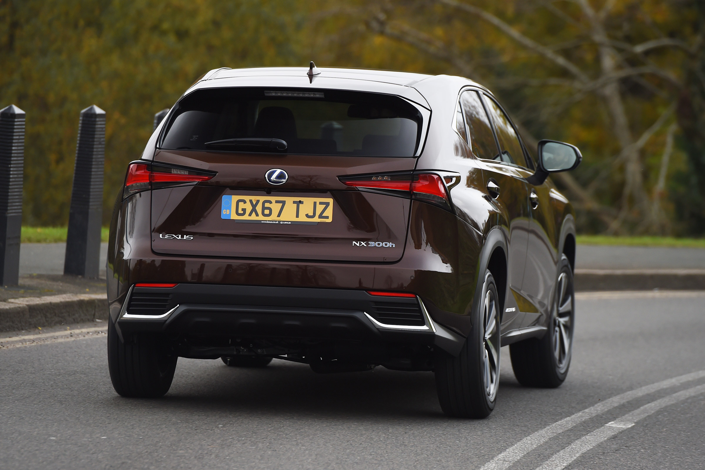 Lexus NX 300h - rear