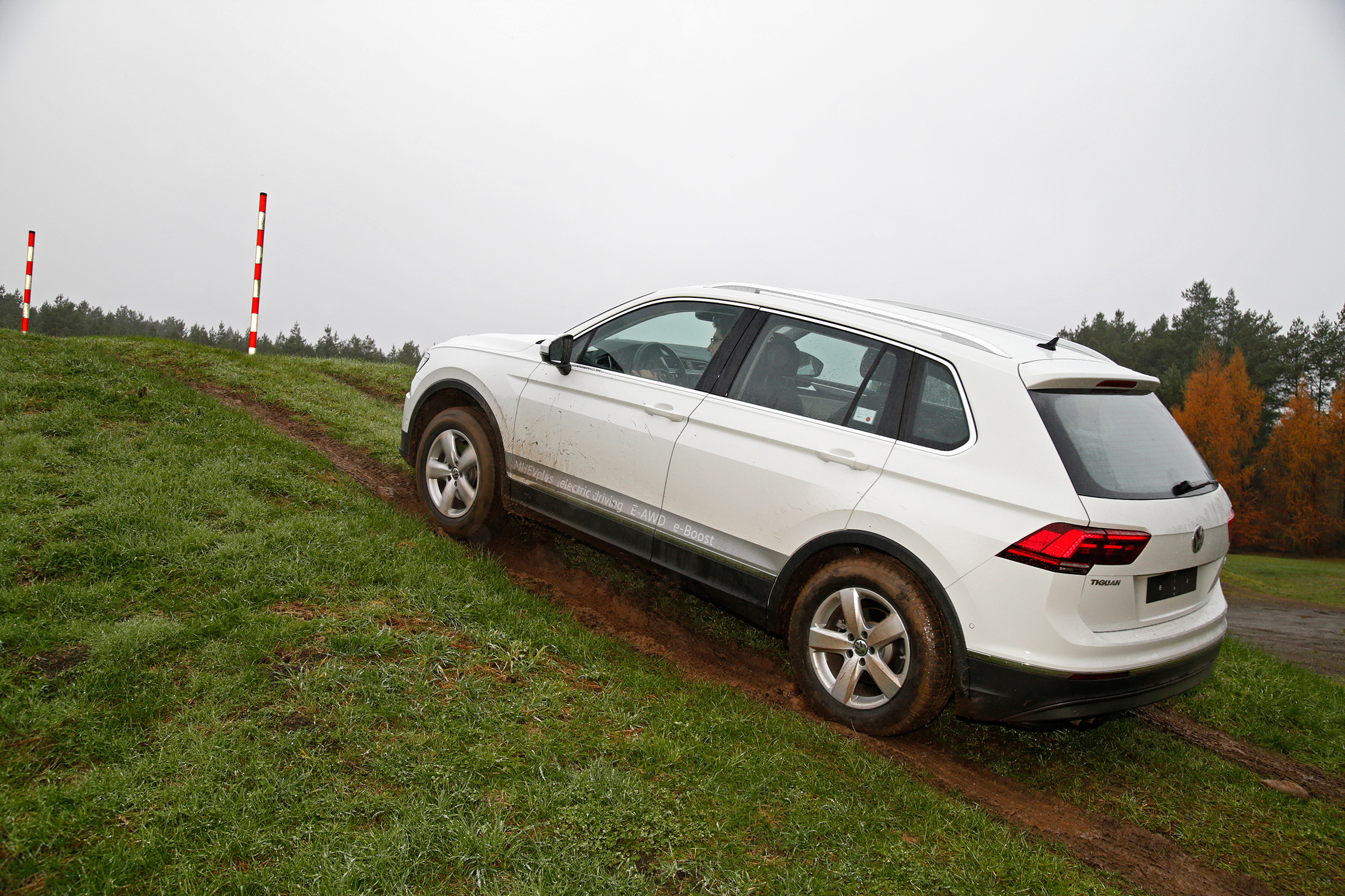 Volkswagen Tiguan MHEVplus - rear