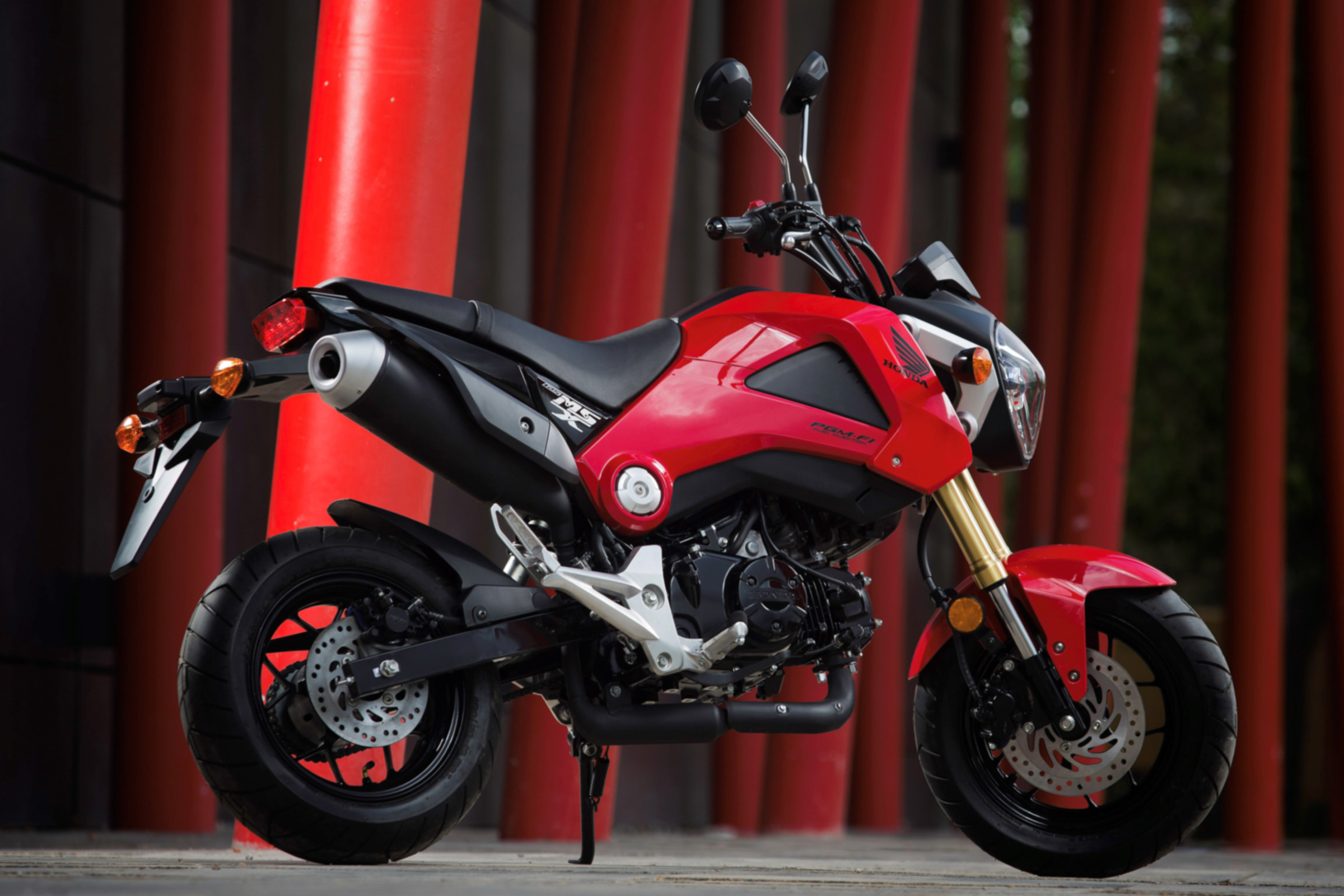 Honda MSX 125 review - rear