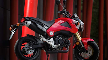 Honda MSX 125 review - rear