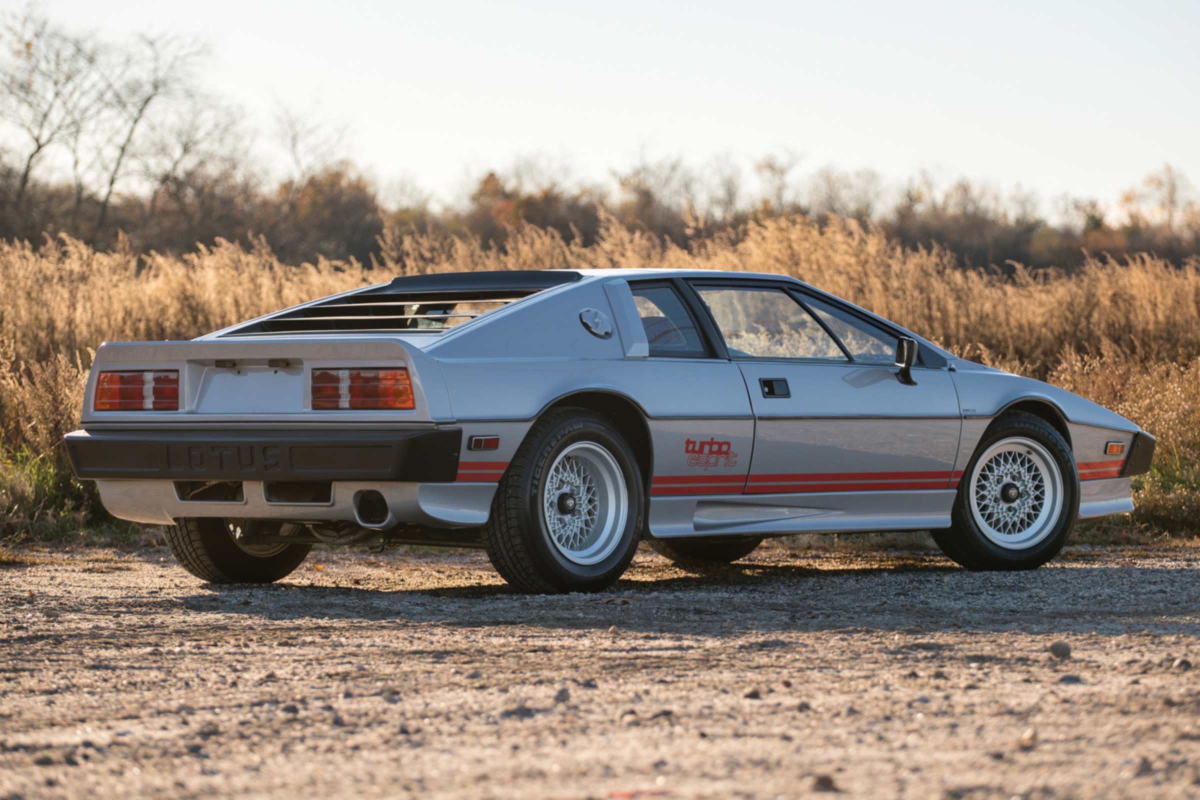 Cool cars: the top 10 coolest cars - Lotus Esprit rear