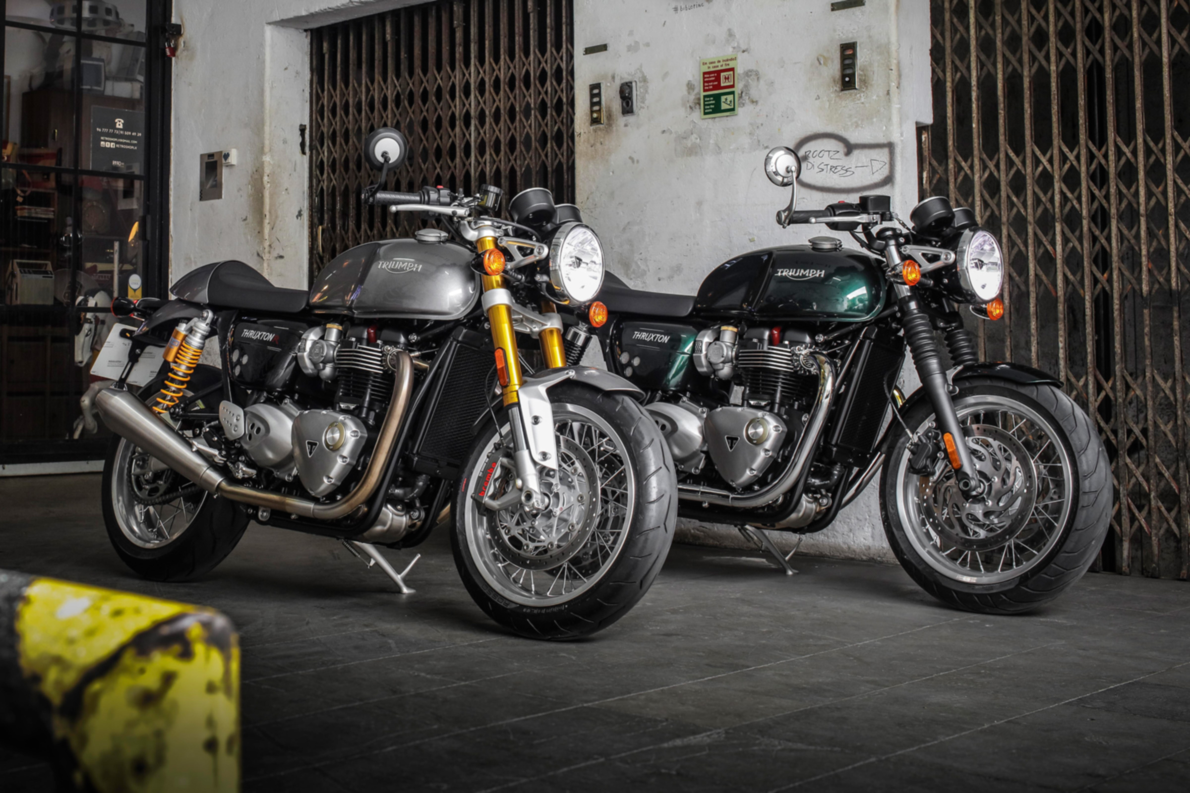Triumph Thruxton R review - twin photo
