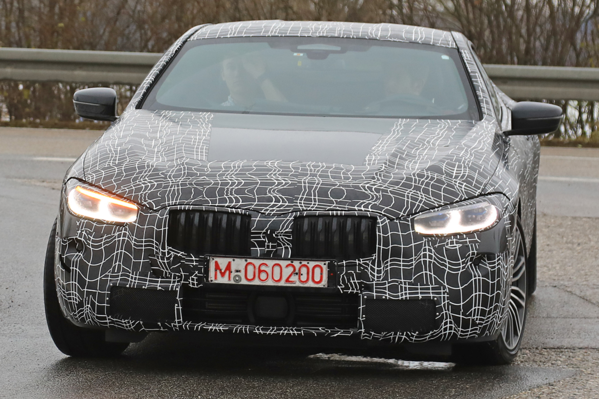 BMW 8 Series - spy shot front grille