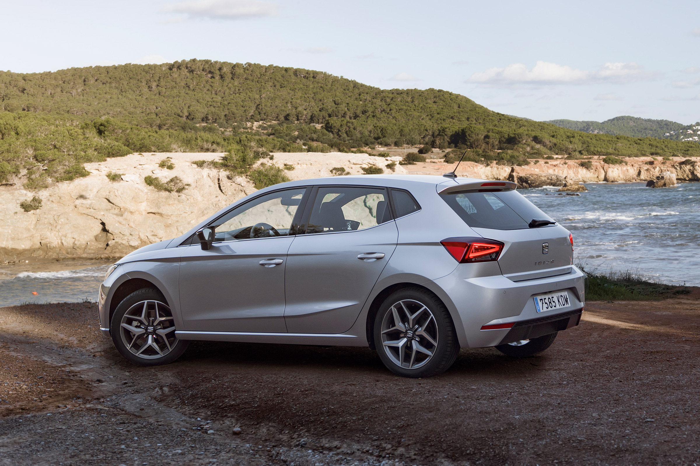 SEAT Ibiza diesel - rear static