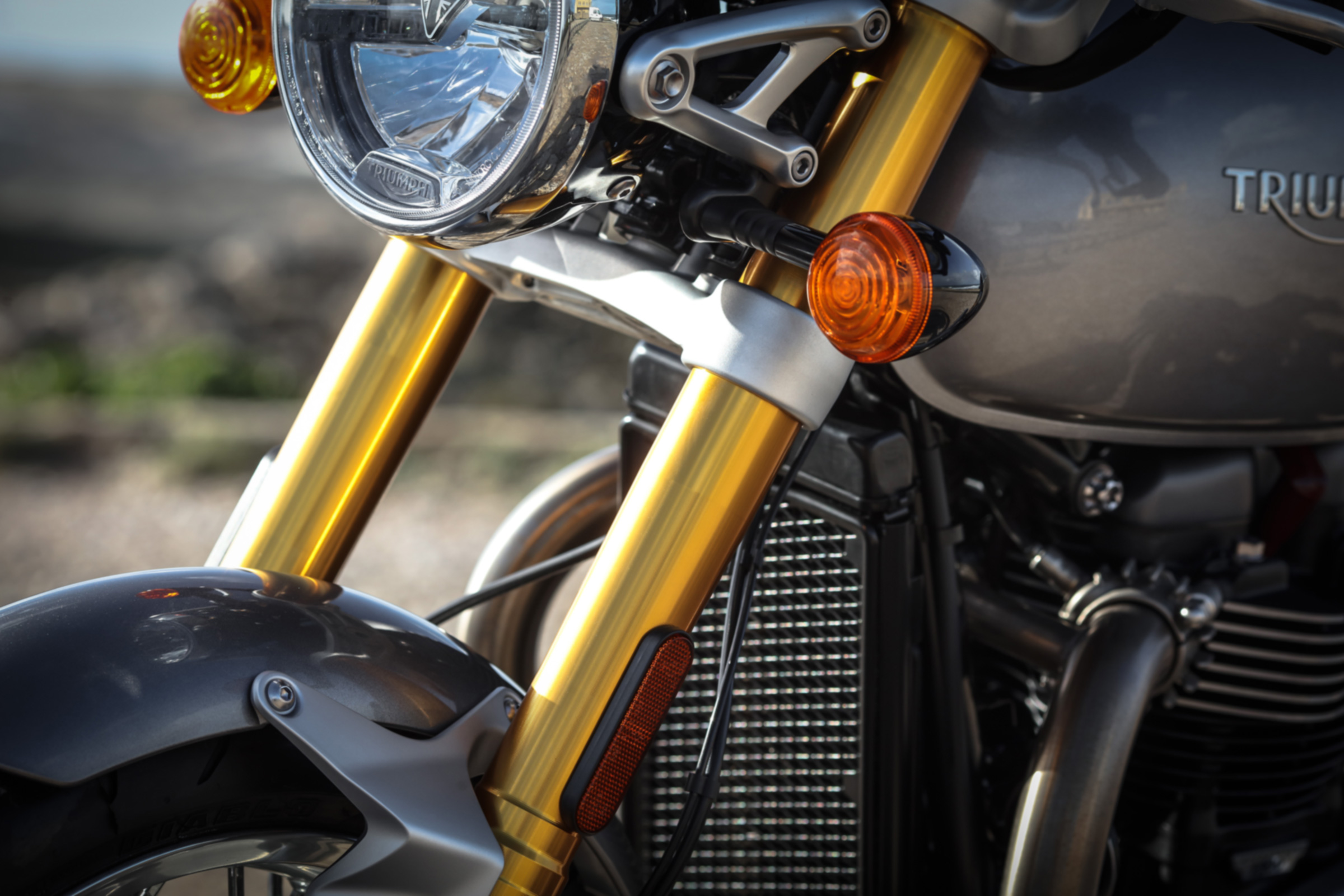 Triumph Thruxton R review - front suspension