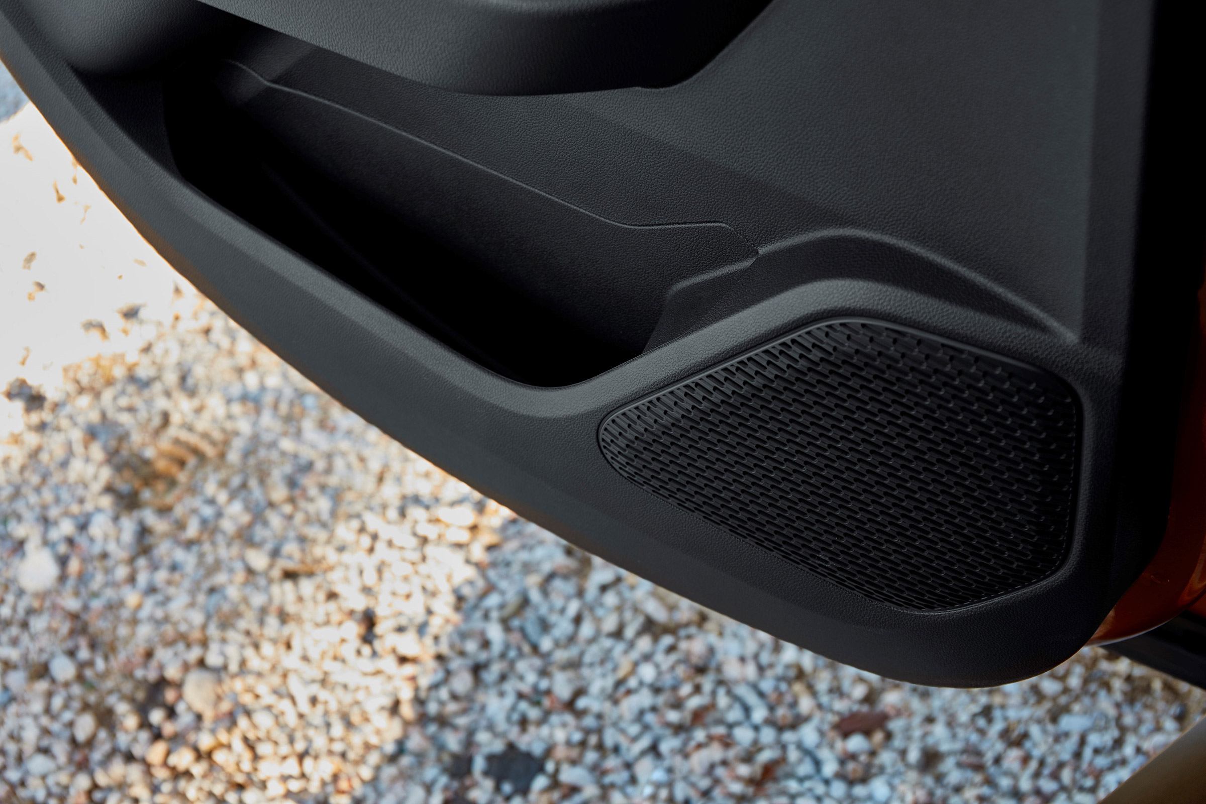 Dacia Duster - door detail