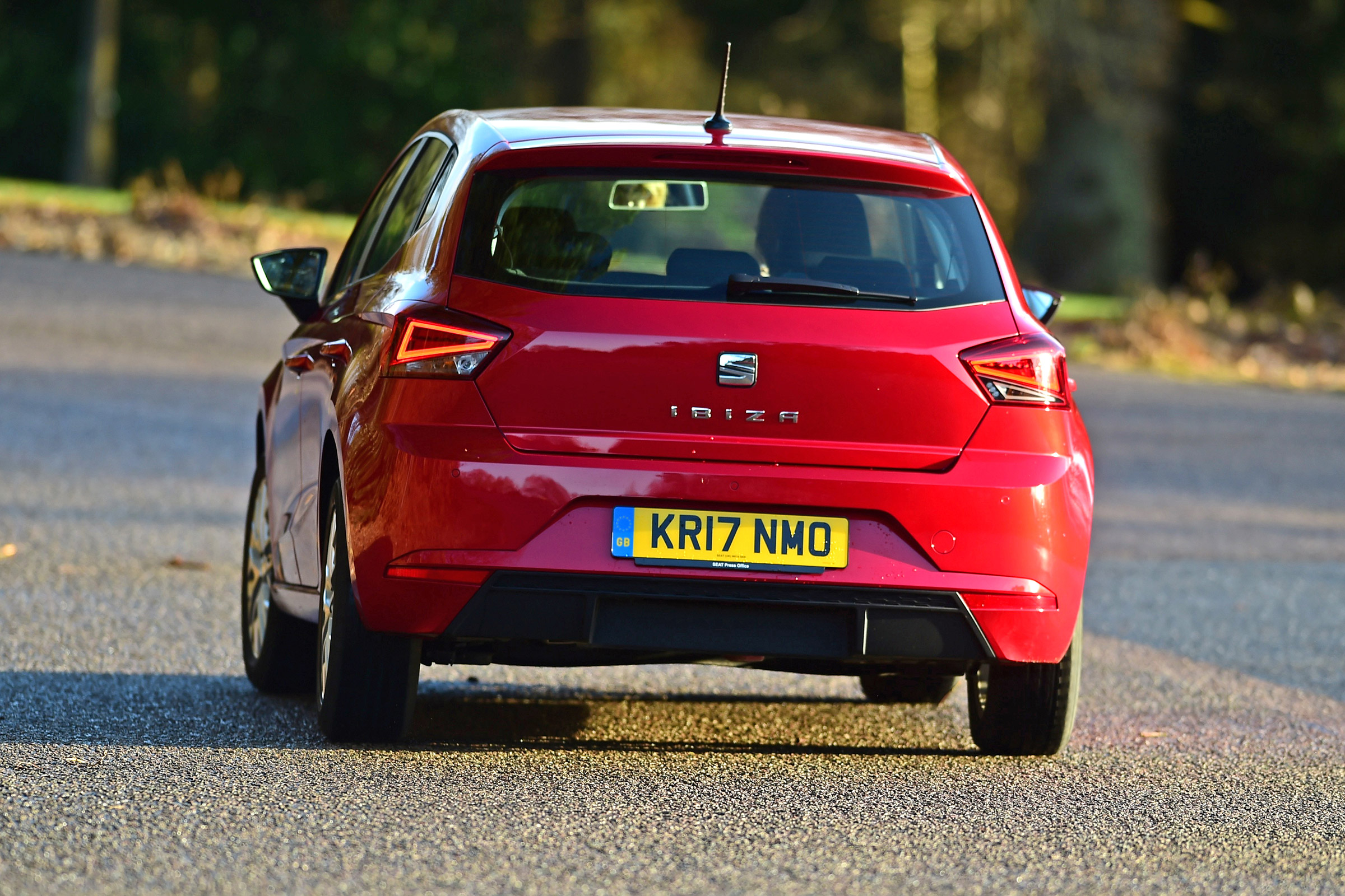 Long-term test review: SEAT Ibiza - first report rear