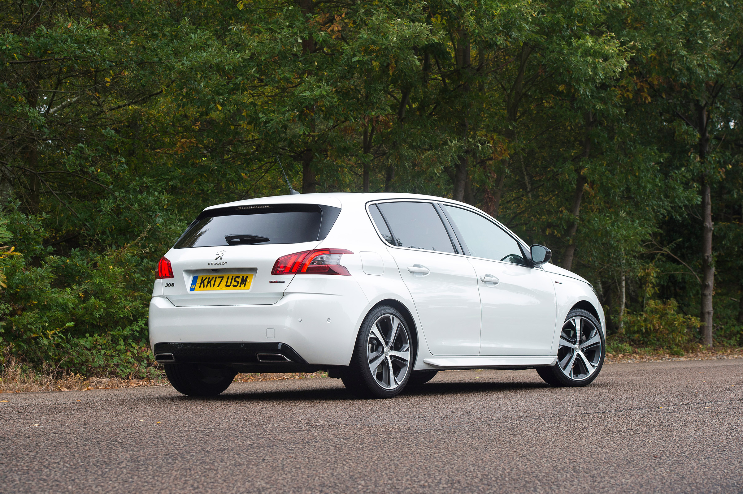 Peugeot 308 - rear static