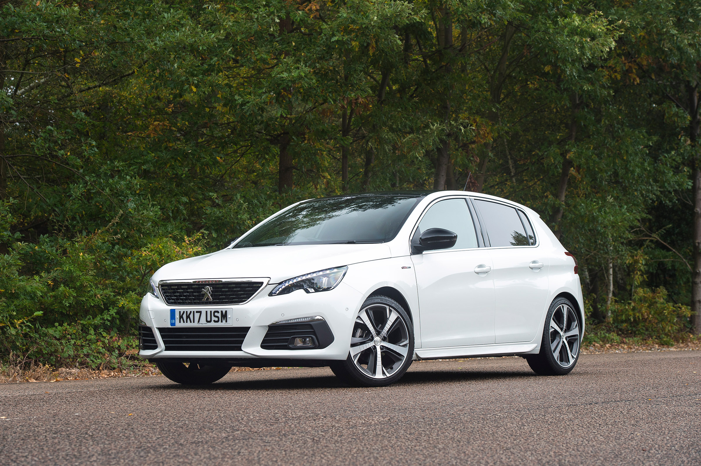 Peugeot 308 - front static