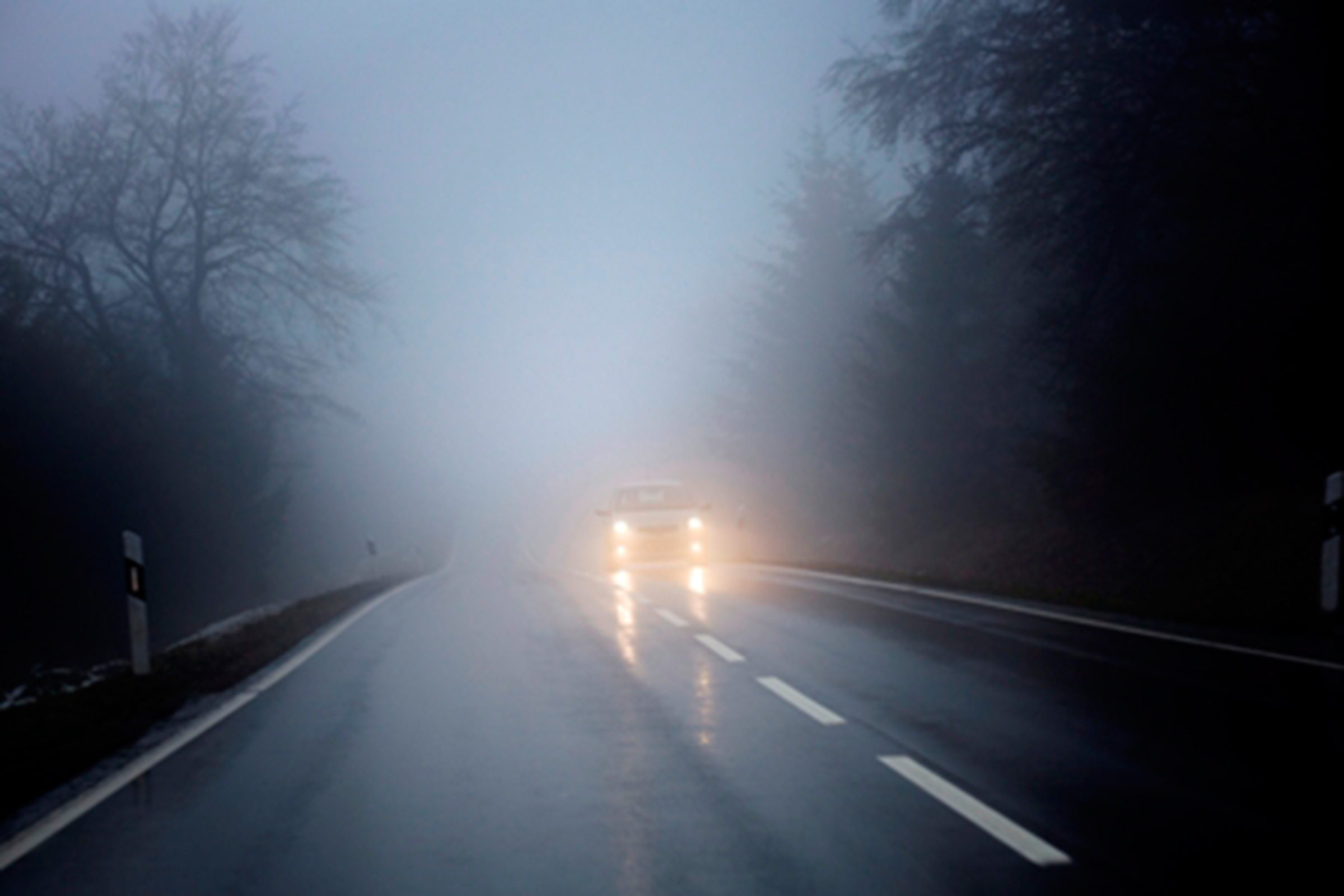 Fog on the road