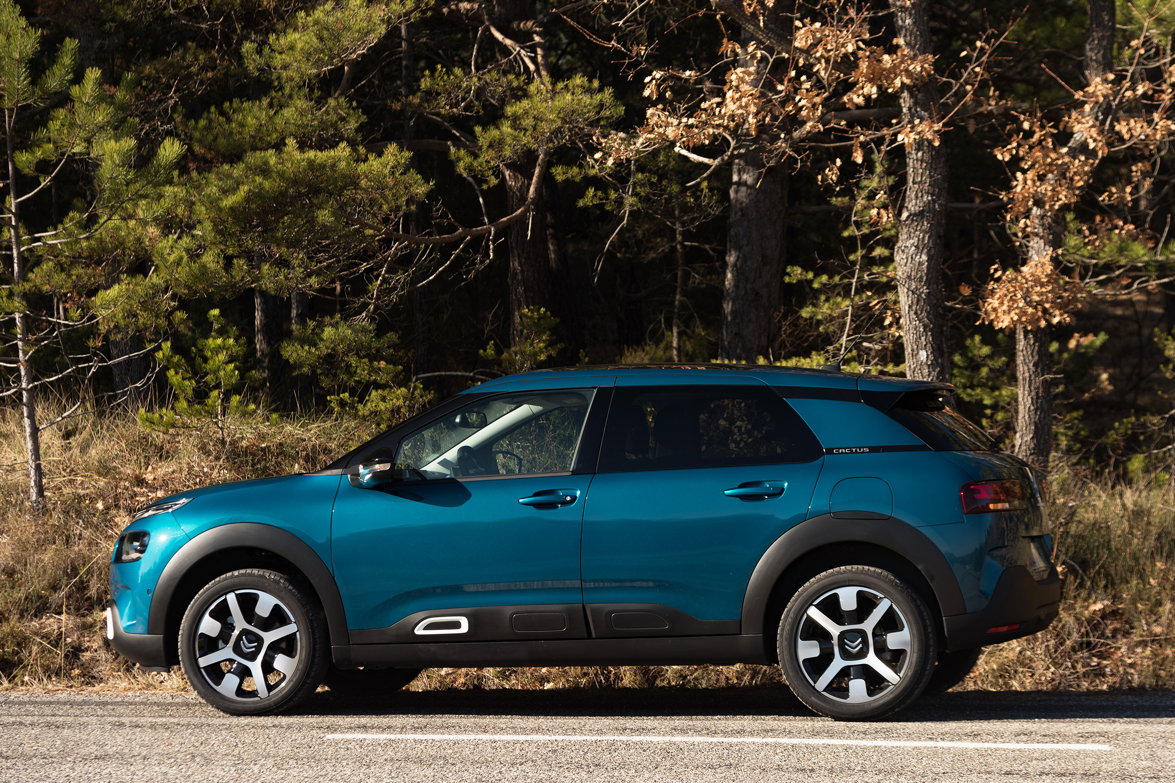 Citroen C4 Cactus - side