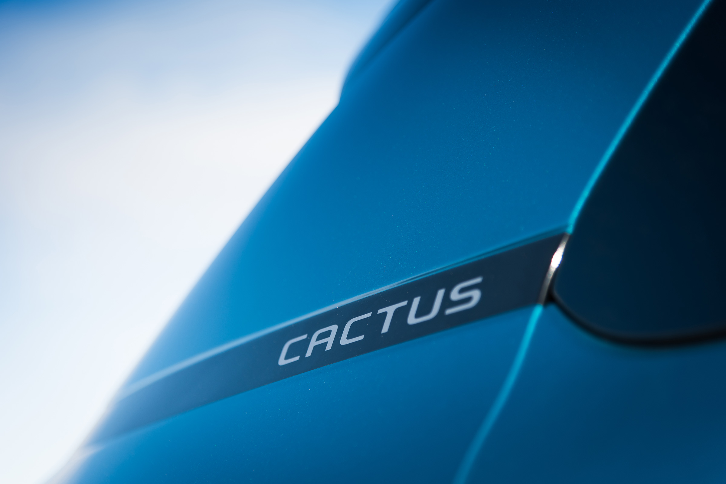 Citroen C4 Cactus - badge