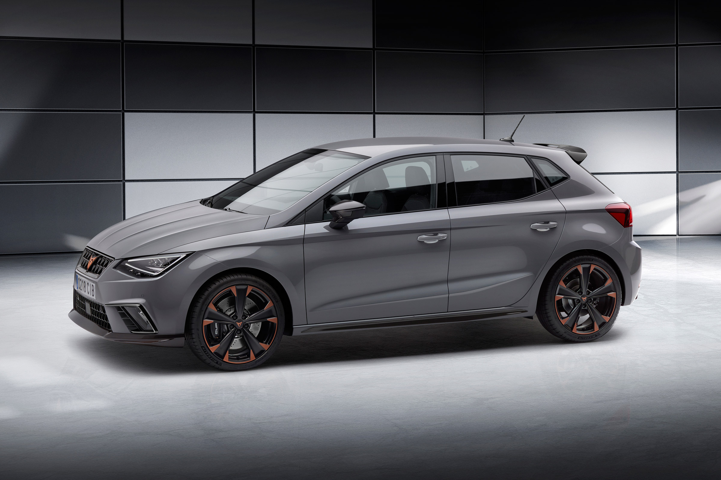 Cupra Ibiza - side