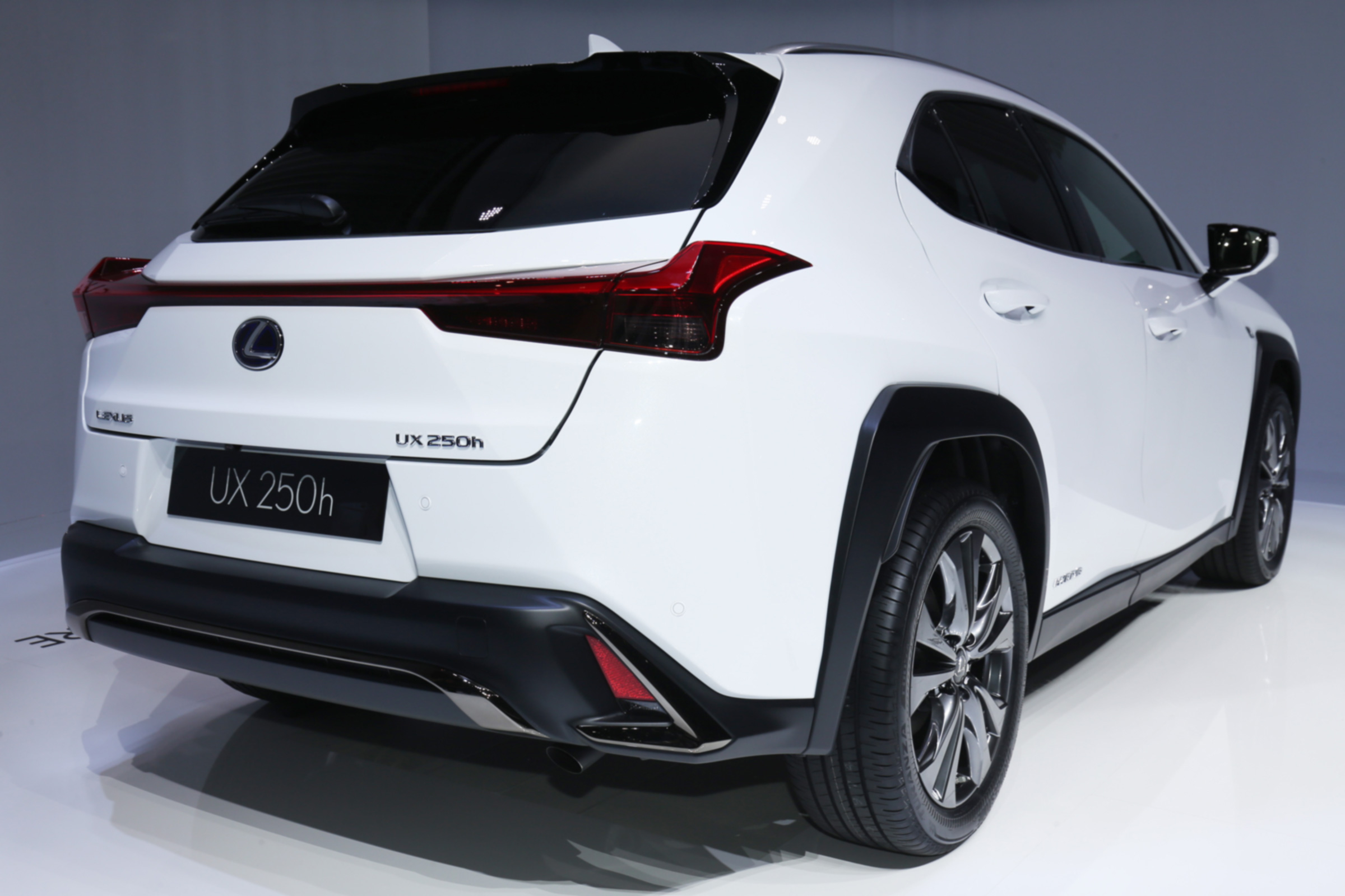 Lexus UX rear