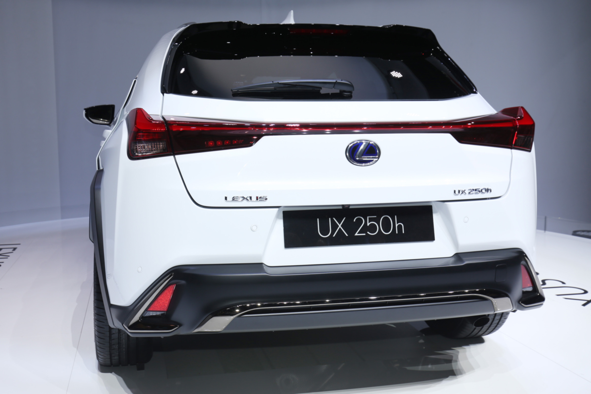 Lexus UX rear end