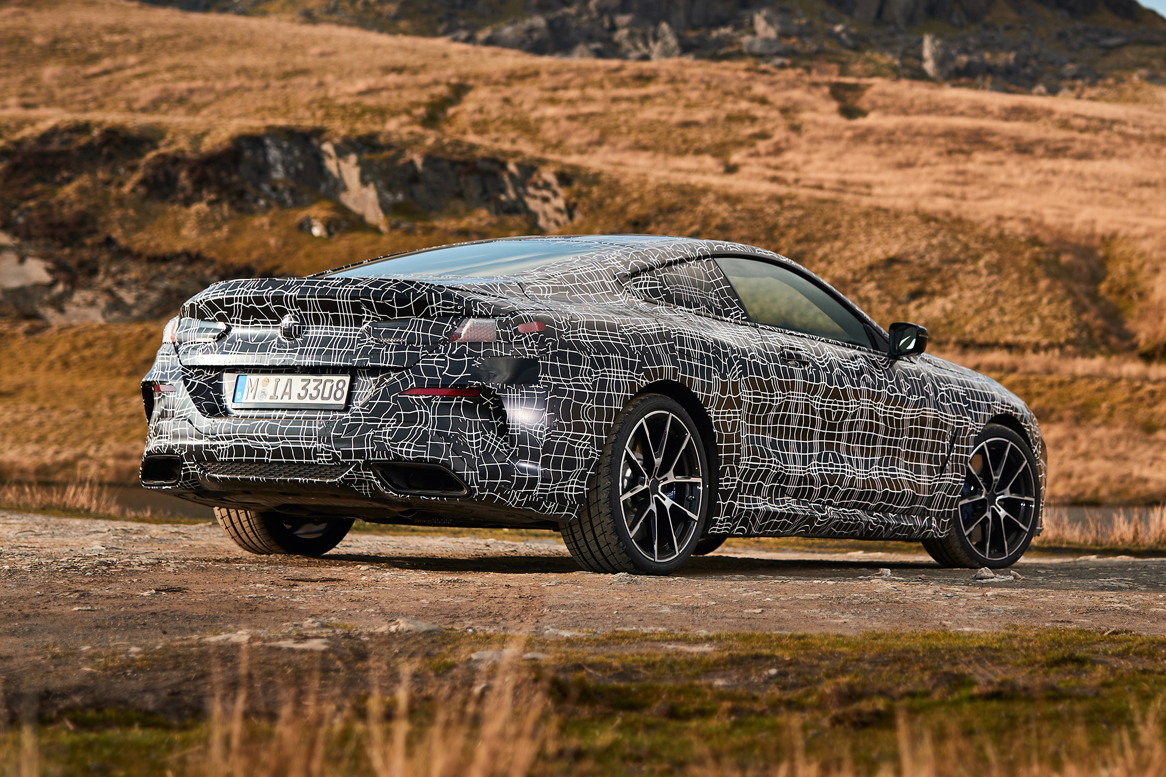 BMW 8 Series - rear