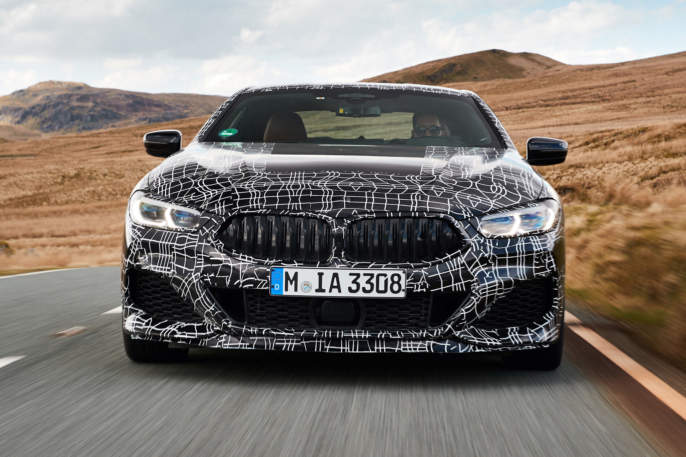 BMW 8 Series - front
