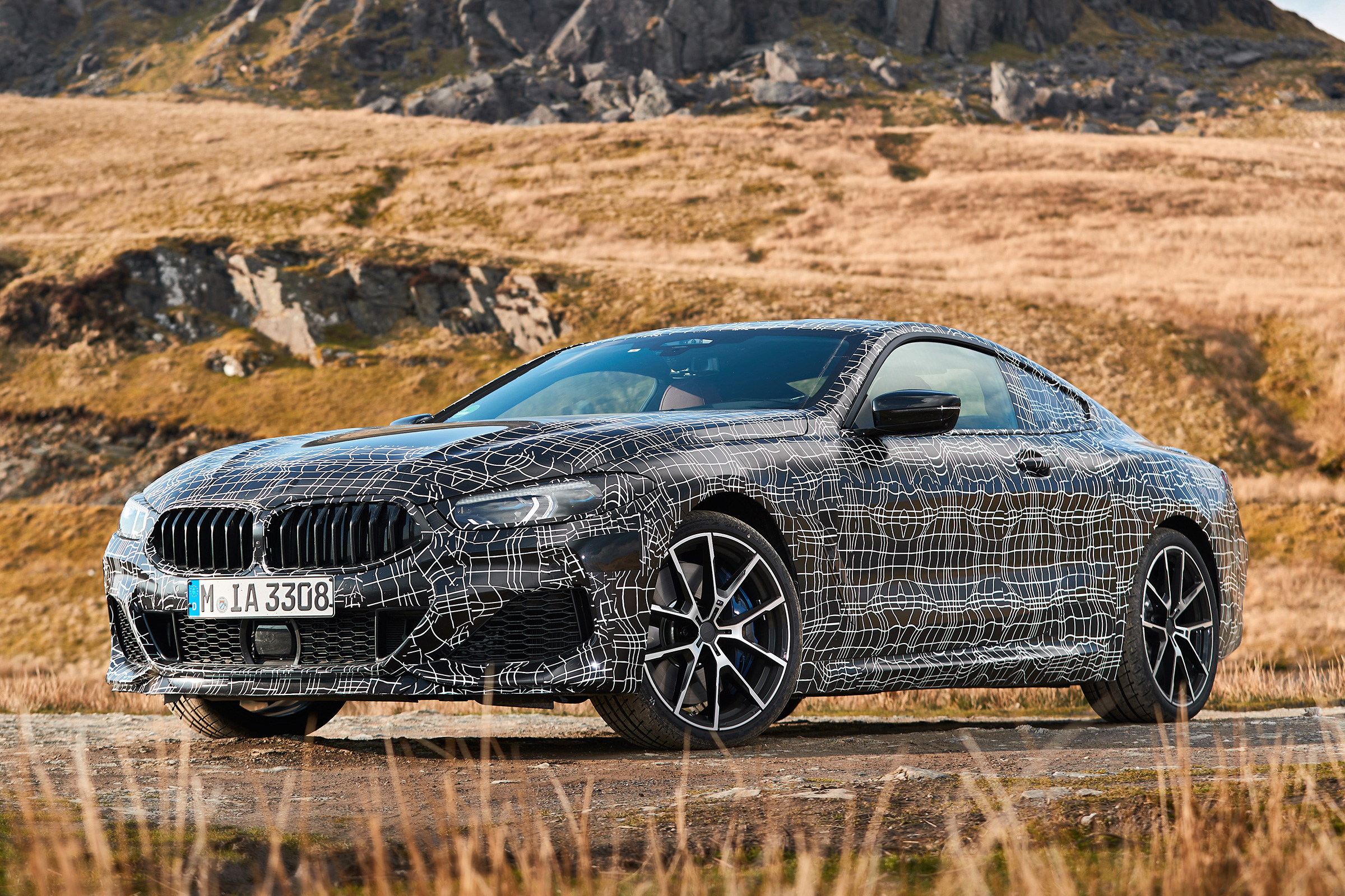 BMW 8 Series - front
