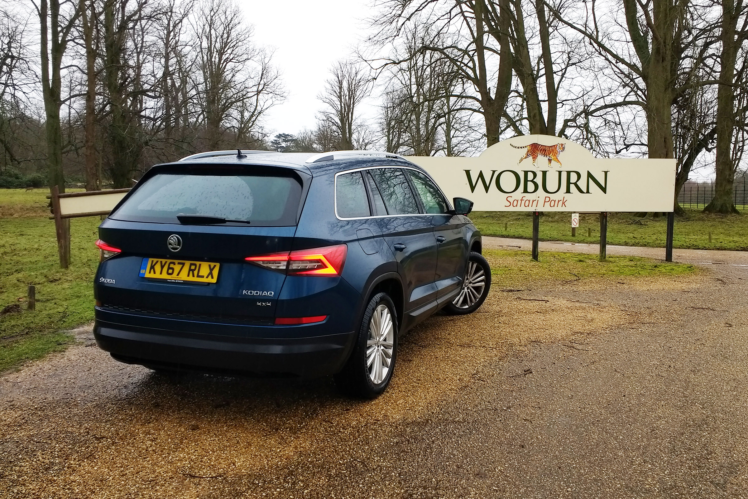 Skoda Kodiaq long termer - second report Woburn