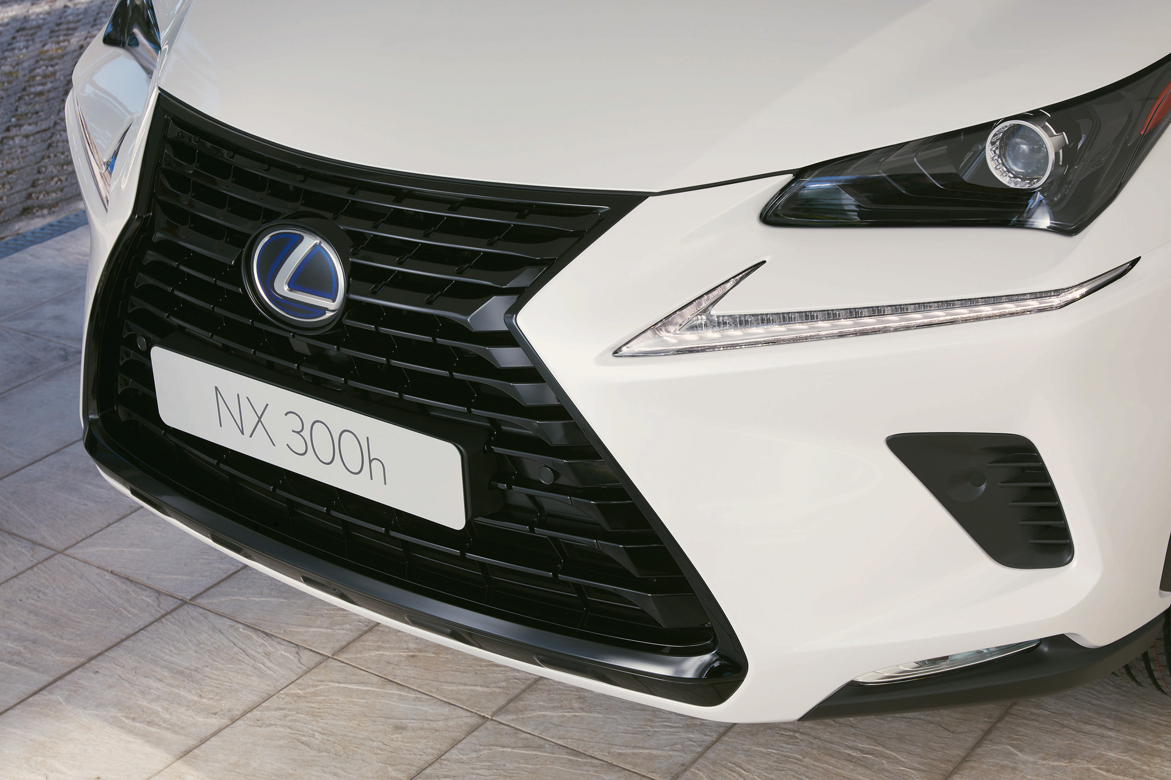 Lexus NX 300h Sport - grille