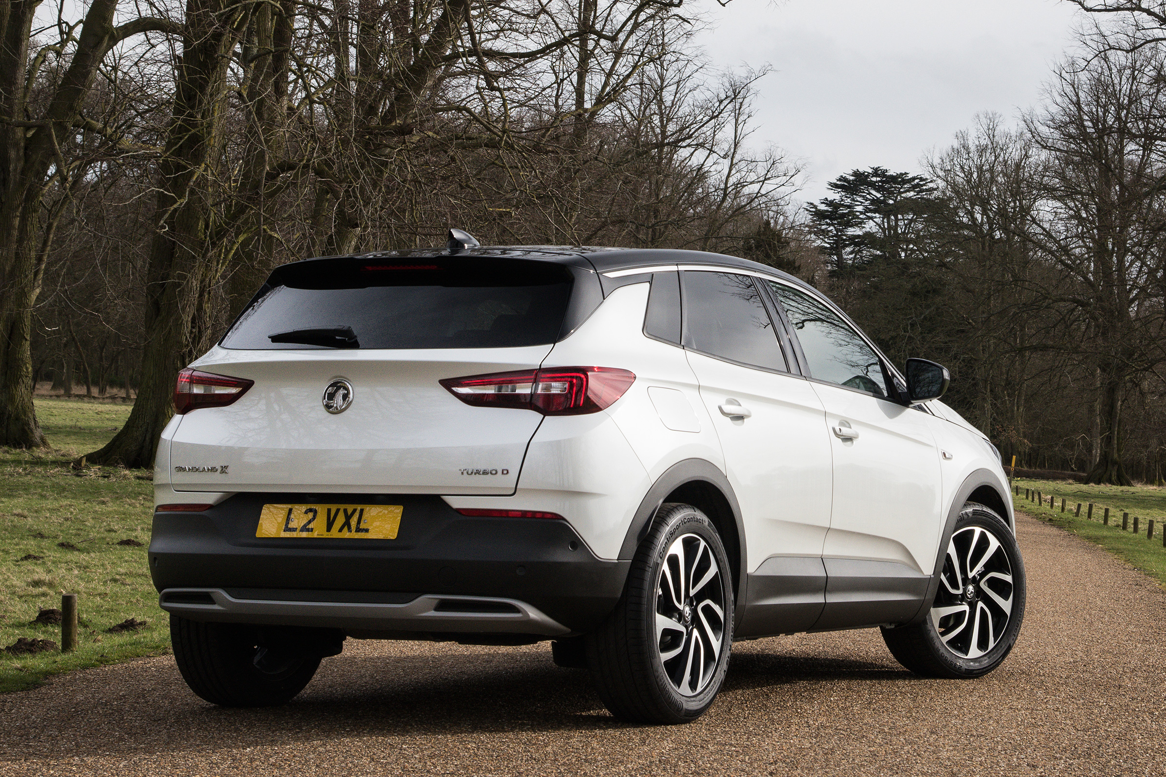Vauxhall Grandland X Ultimate - rear