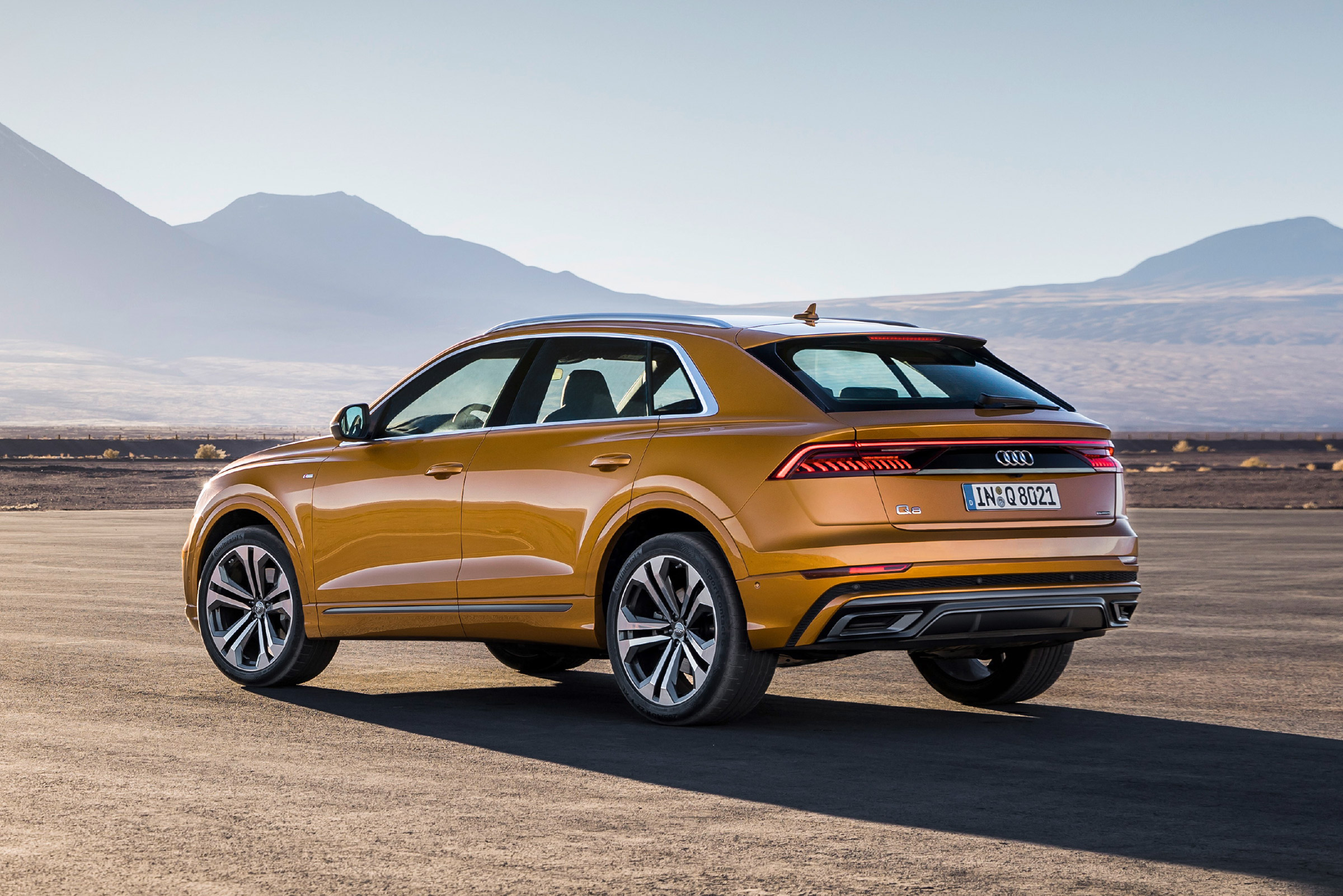 Audi Q8 - rear static