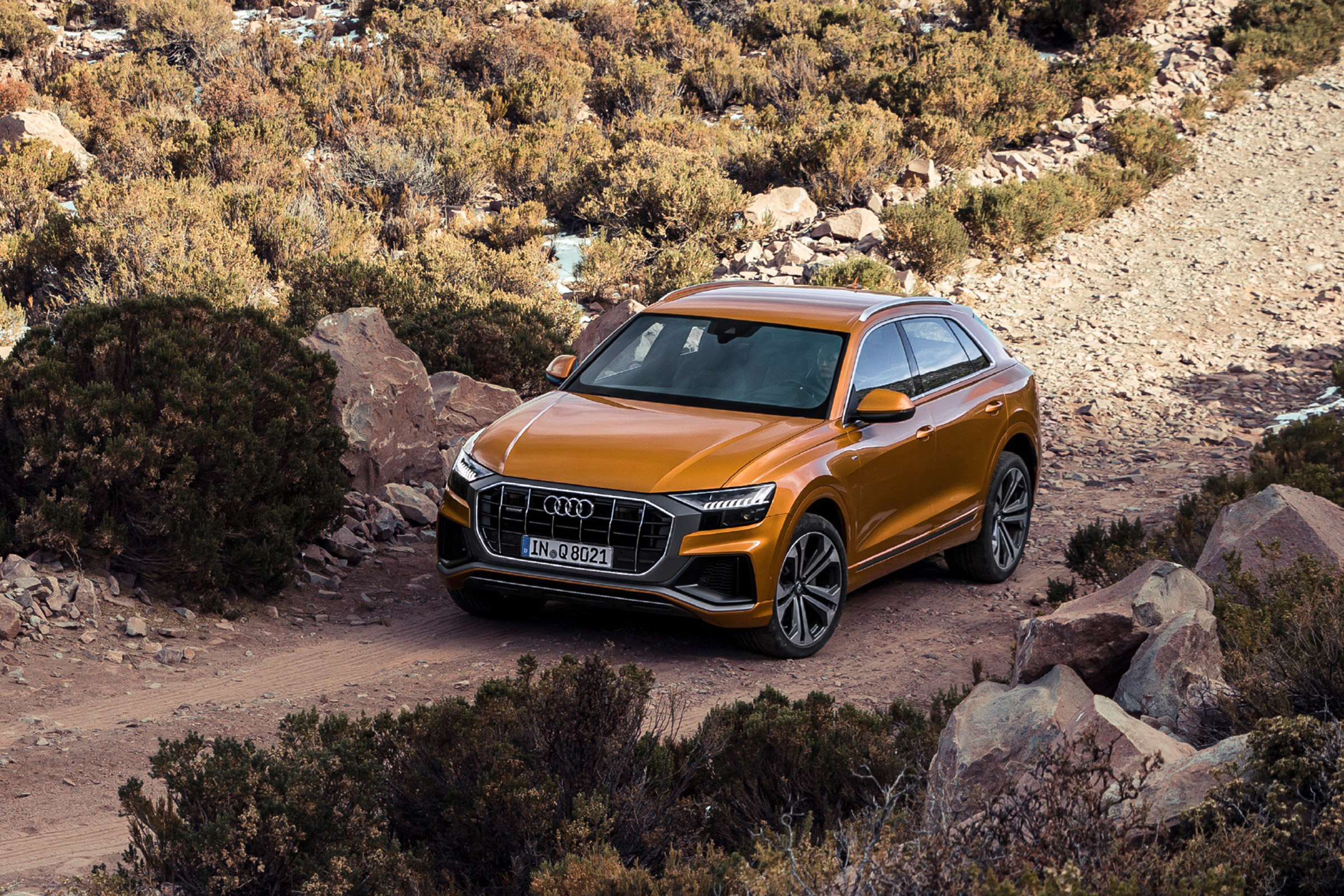 Audi Q8 - off-road action