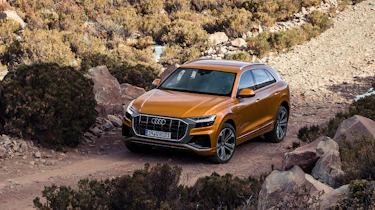 Audi Q8 - off-road action