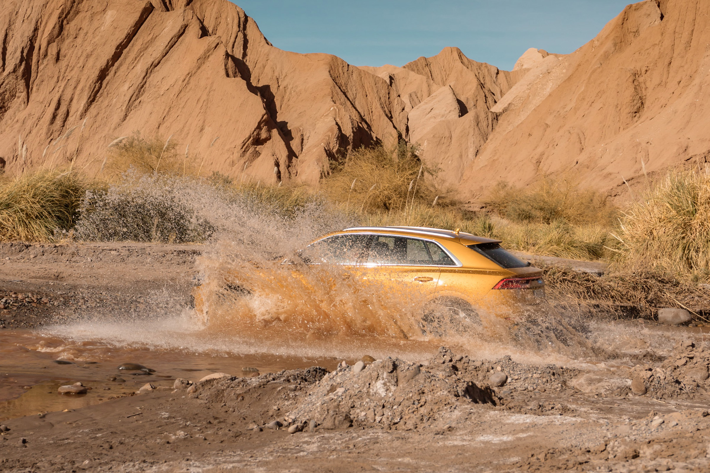 Audi Q8 - off-road