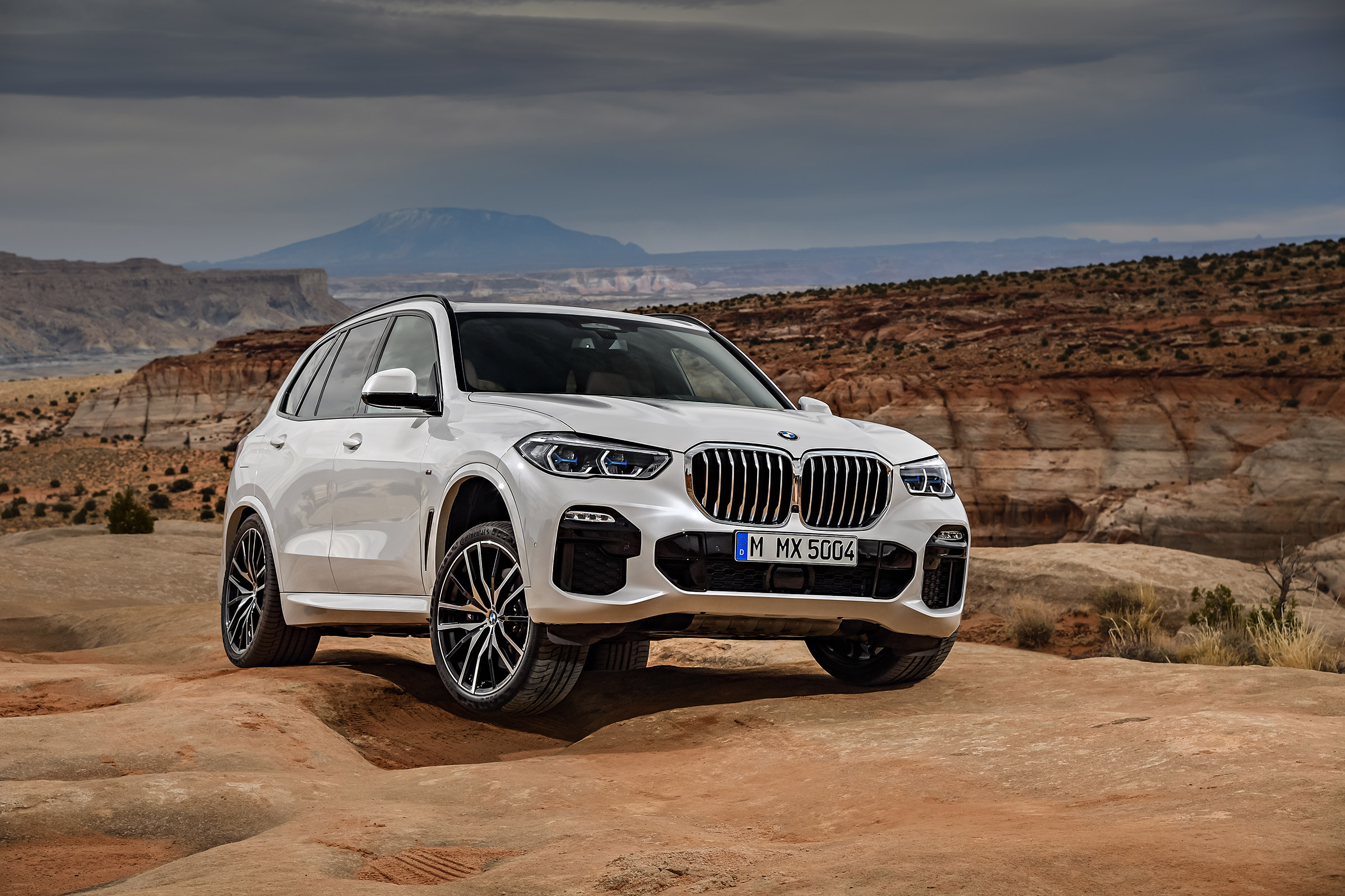 BMW X5 - front off-road action