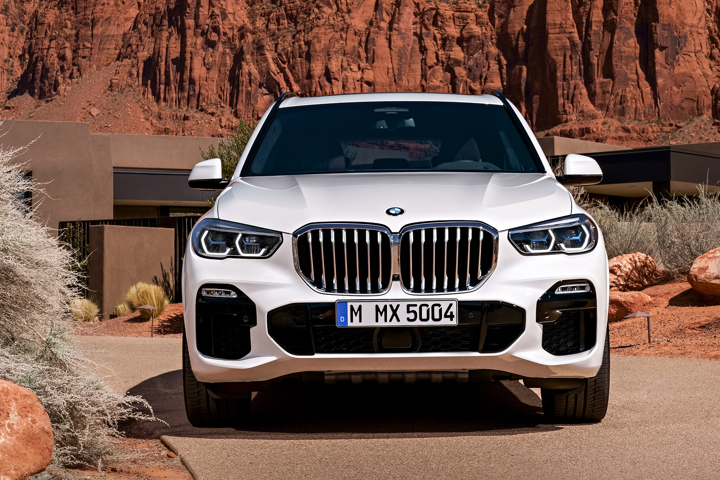 BMW X5 - full front static