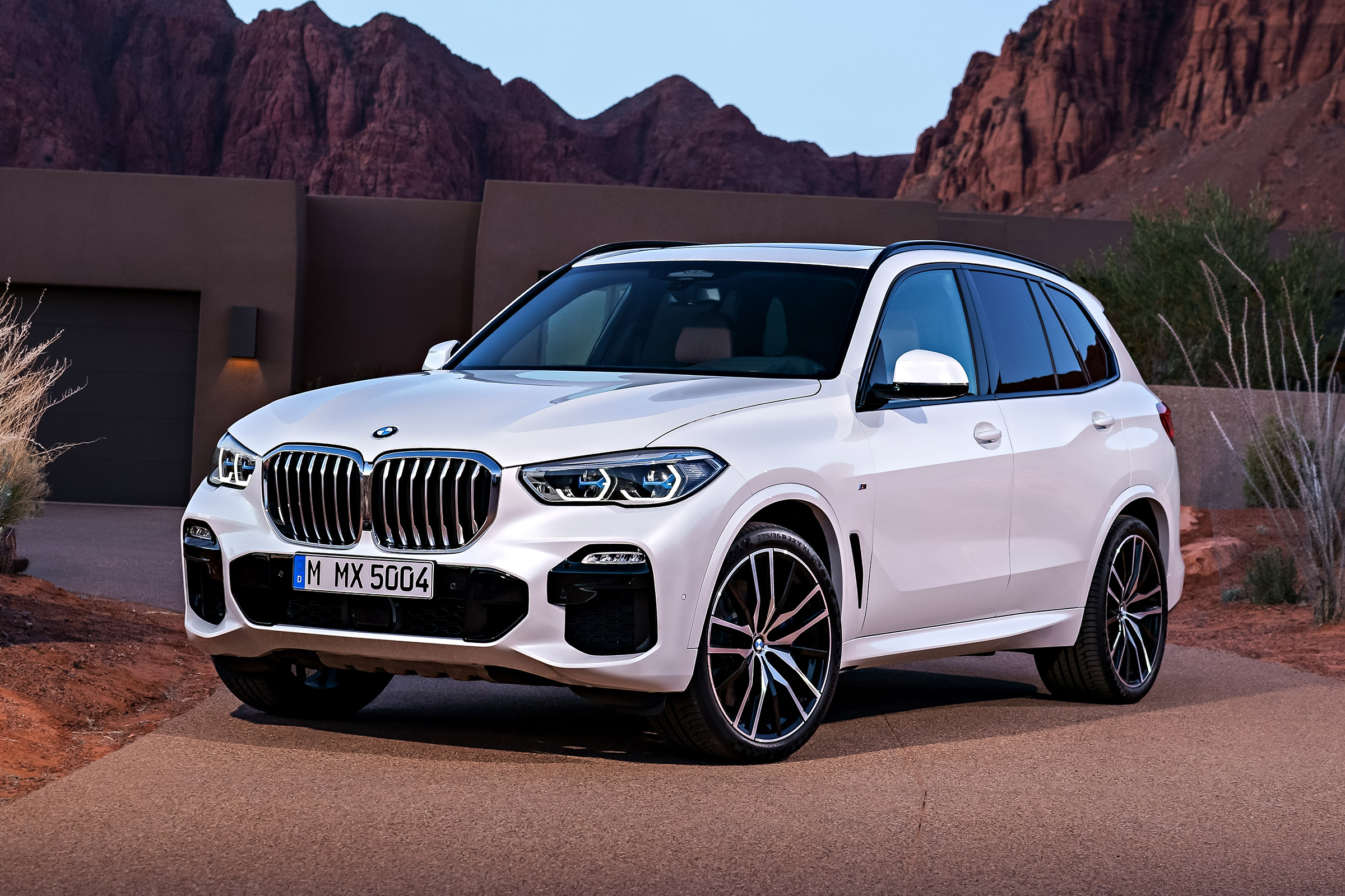 BMW X5 - front static