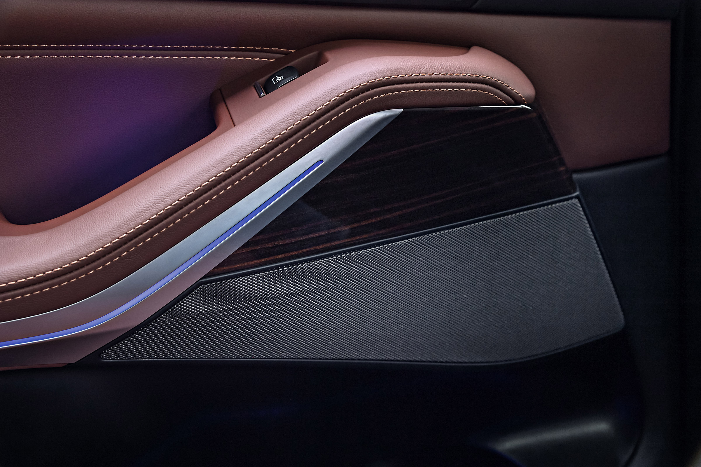 BMW X5 - door