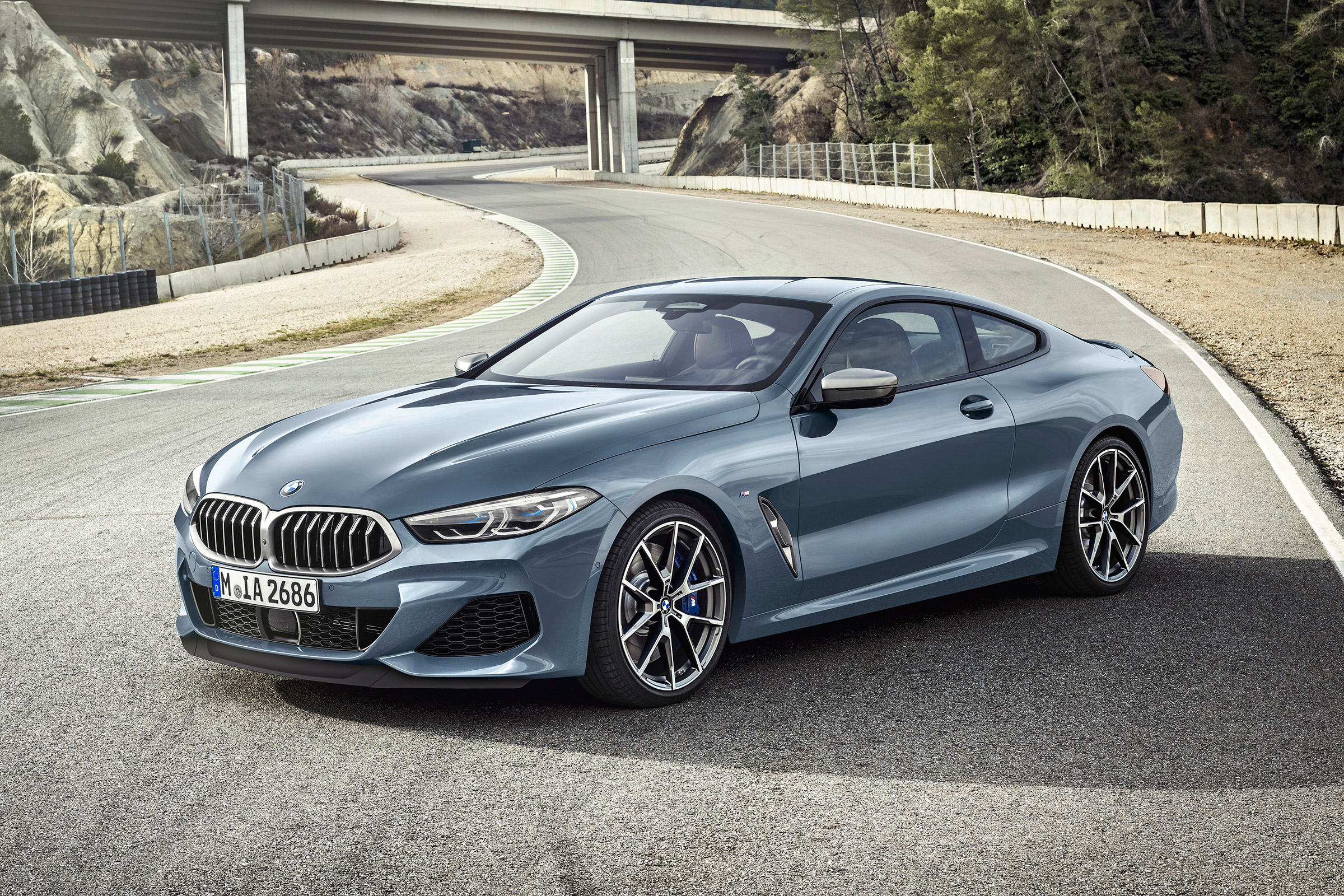 BMW 8 Series - front static