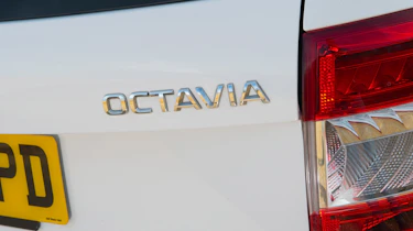 Used Skoda Octavia - rear badge