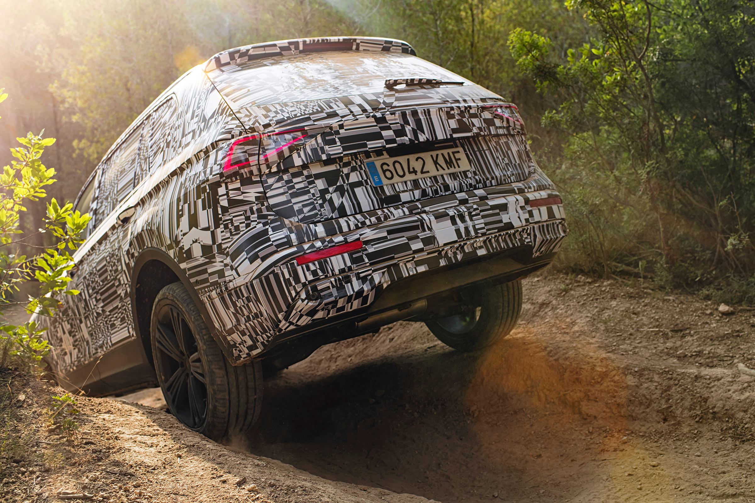 SEAT Tarraco prototype - rear off-road