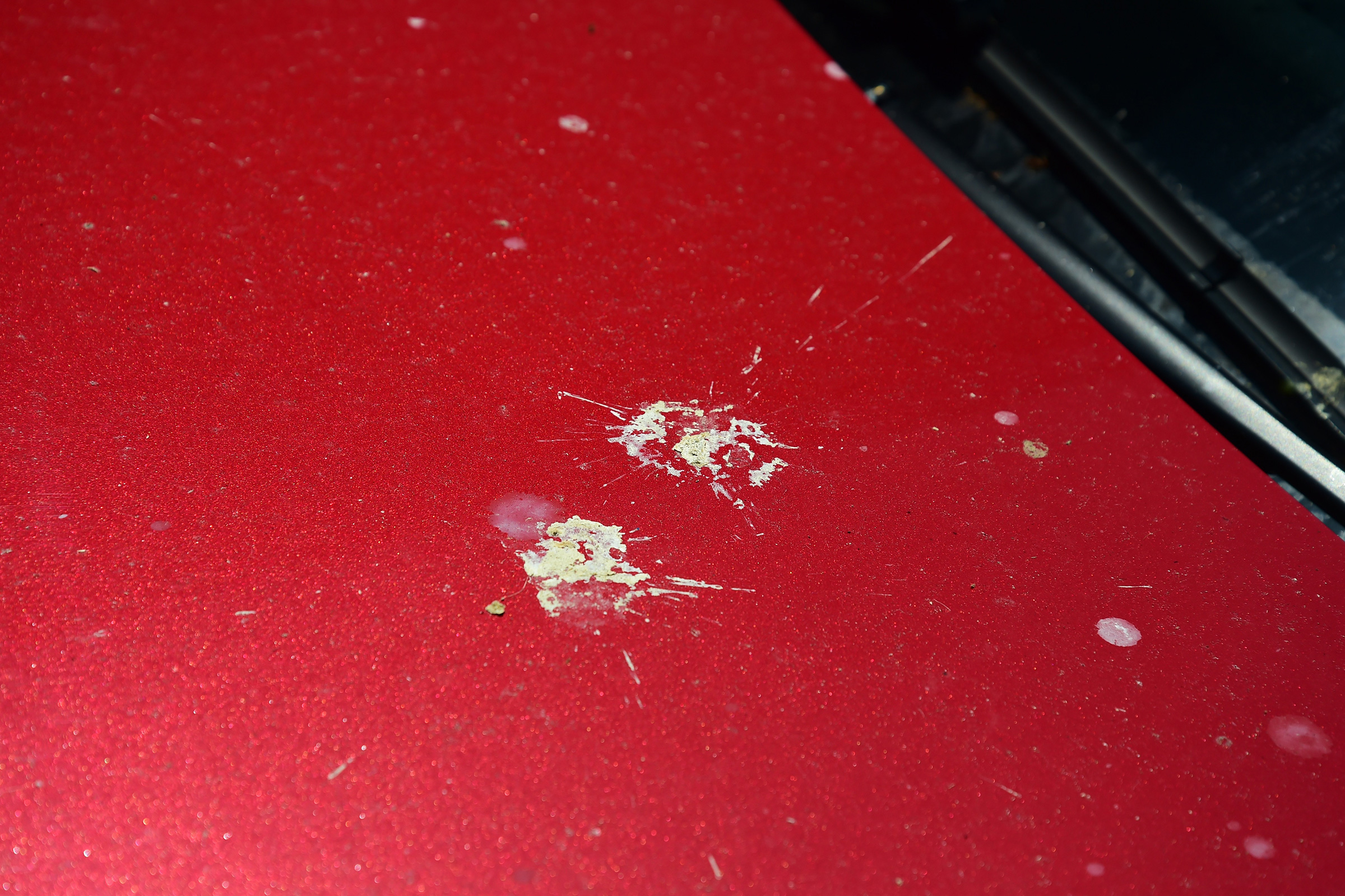 Volkswagen Arteon - bird poo