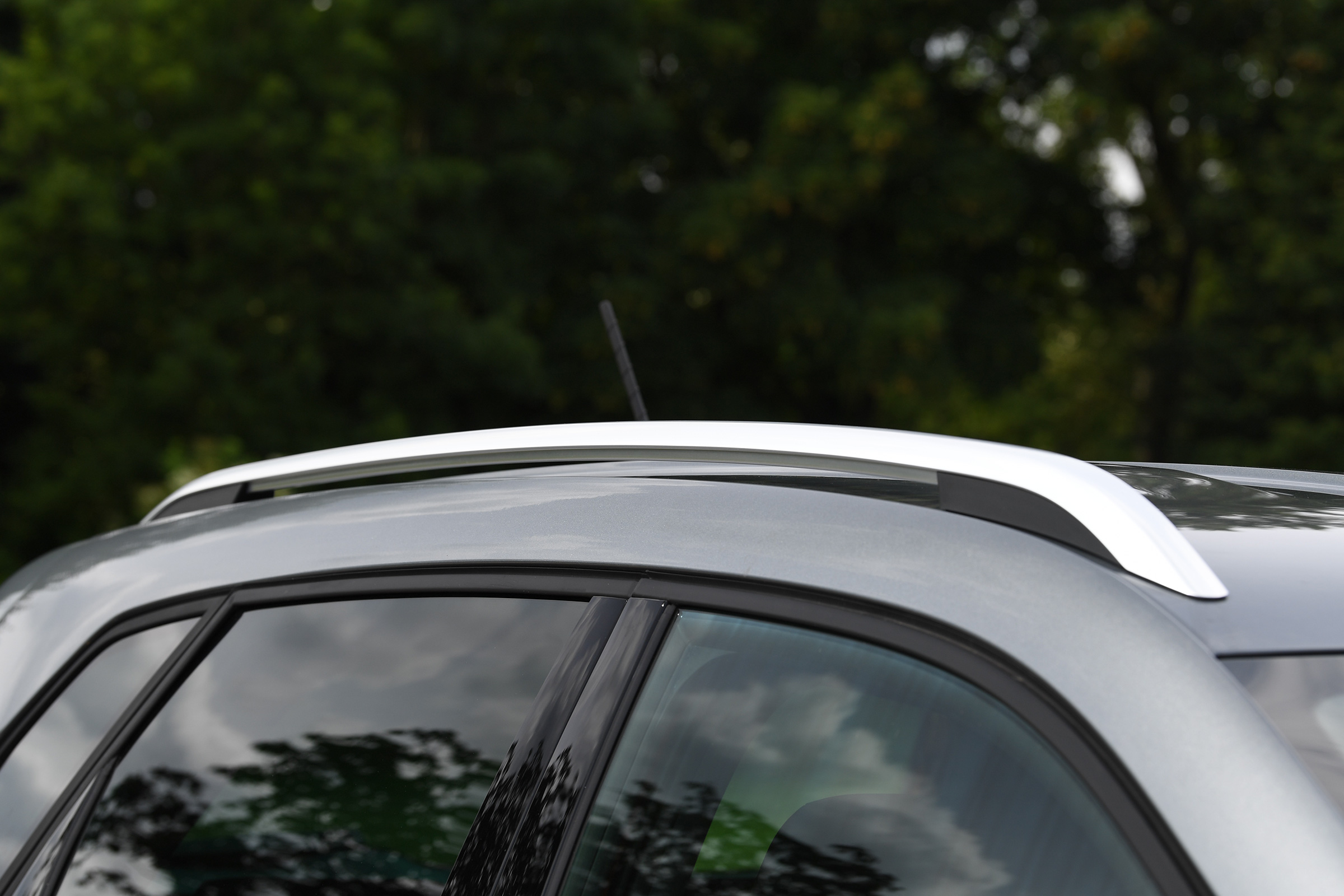 SEAT Arona - roof