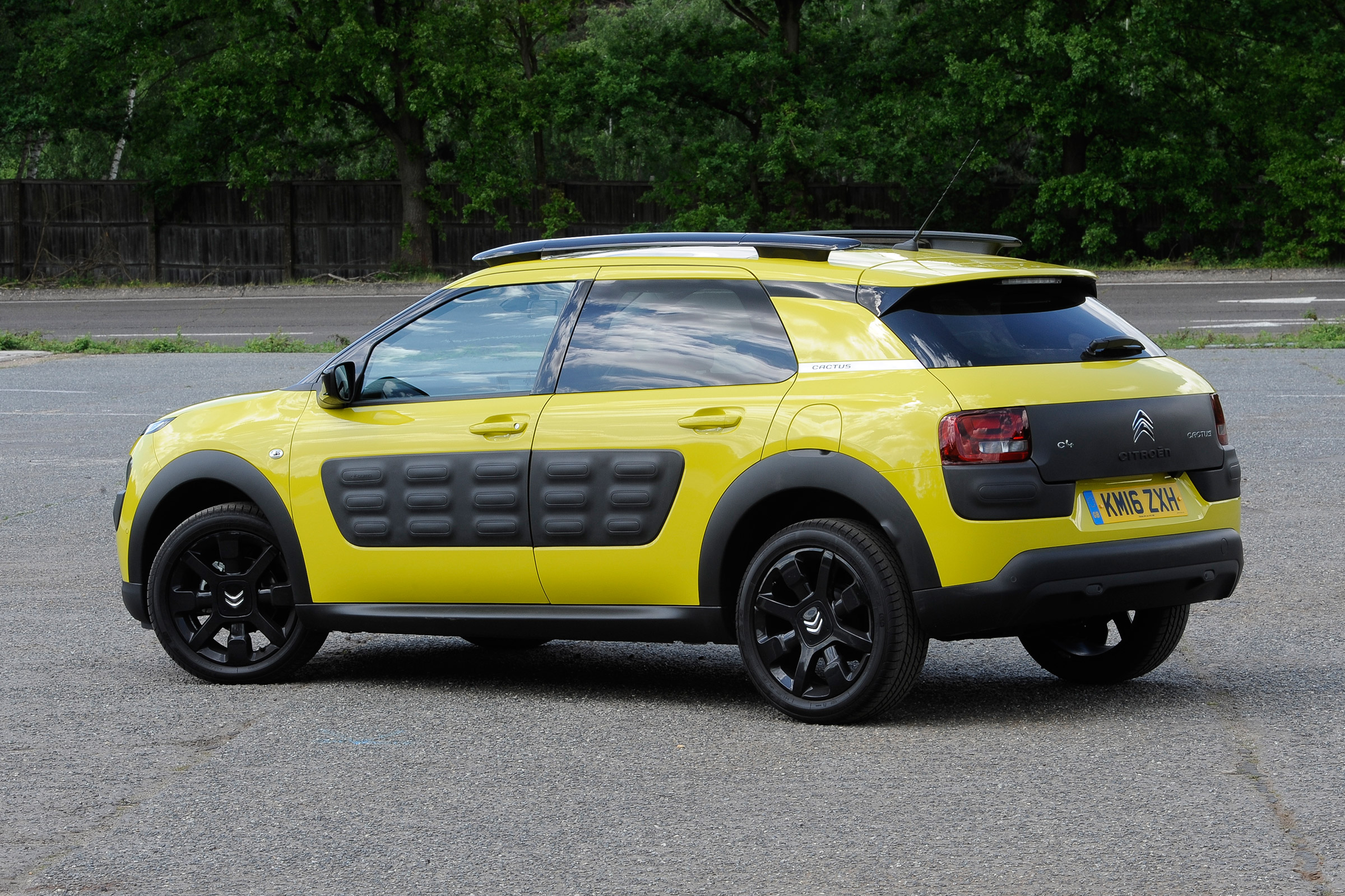 Used Citroen C4 Cactus - rear